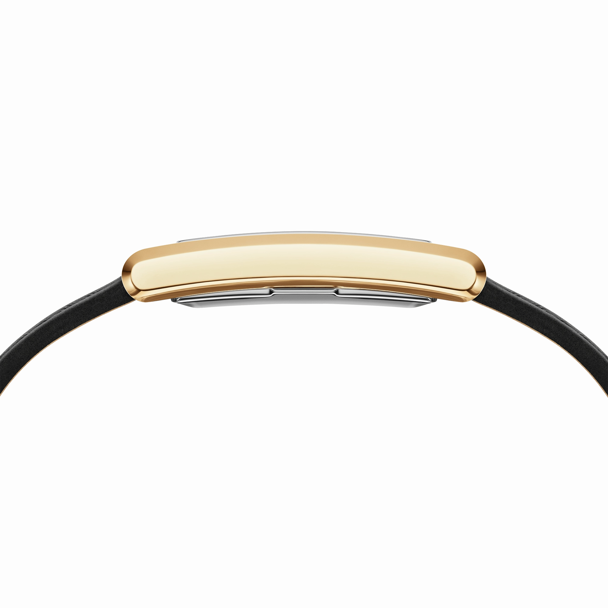 Bound Black Crocodile Gold