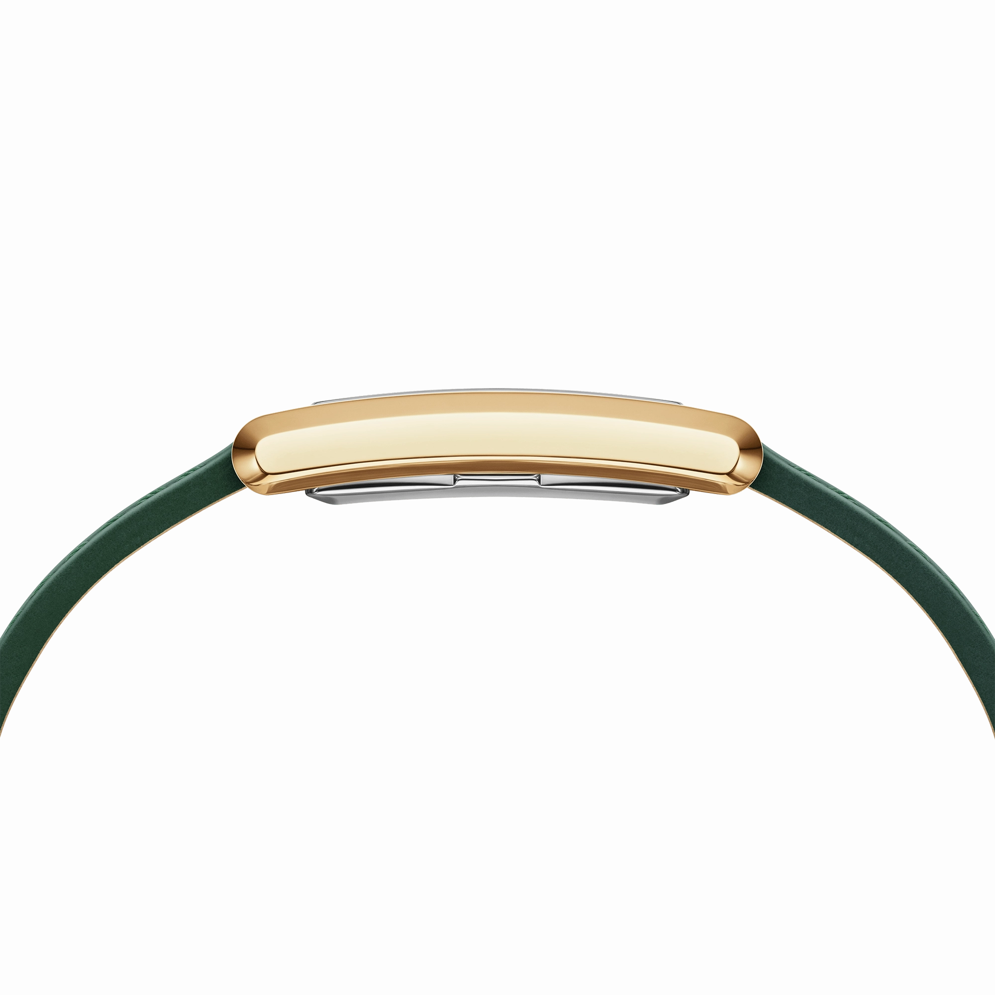 Bound Crocodile Champagne Sunray Gold