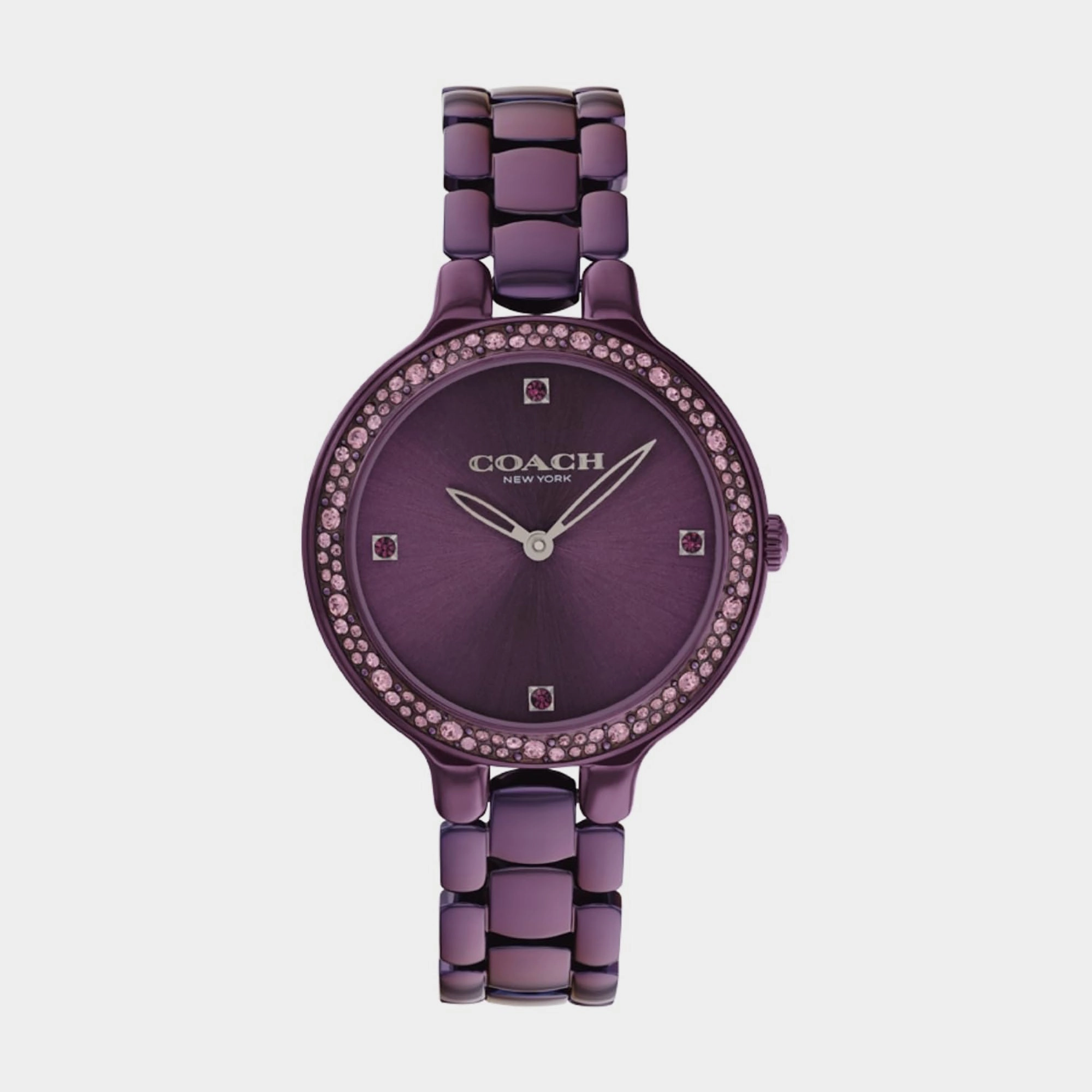 Chelsea Women Quartz Purple Dial Analog Stainless Steel Watch 14504353