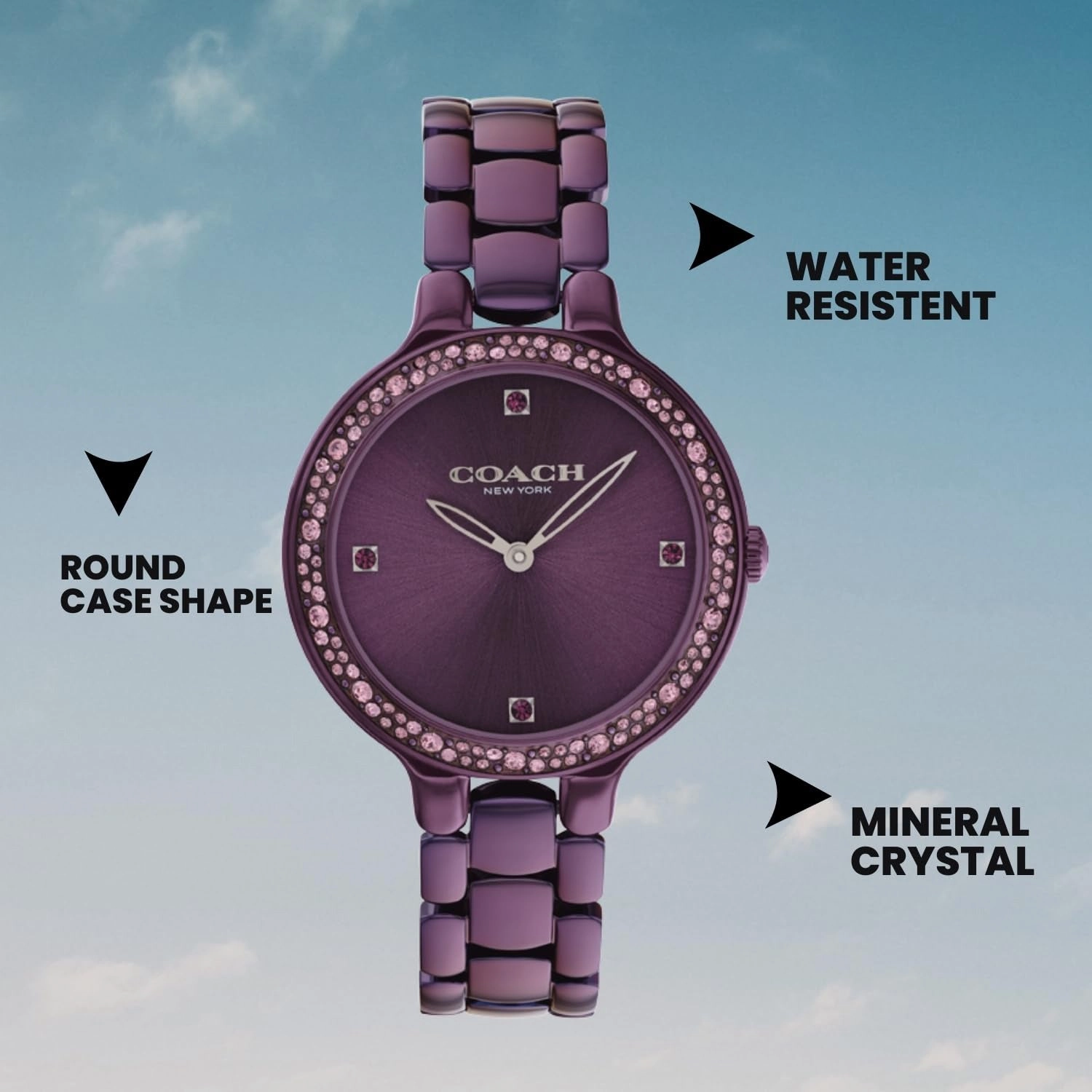 Chelsea Women Quartz Purple Dial Analog Stainless Steel Watch 14504353