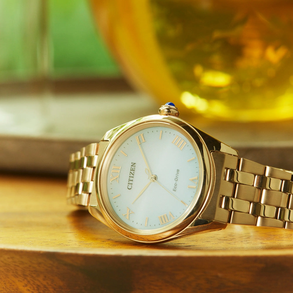 Citizen Eco-Drive EM1143-81X