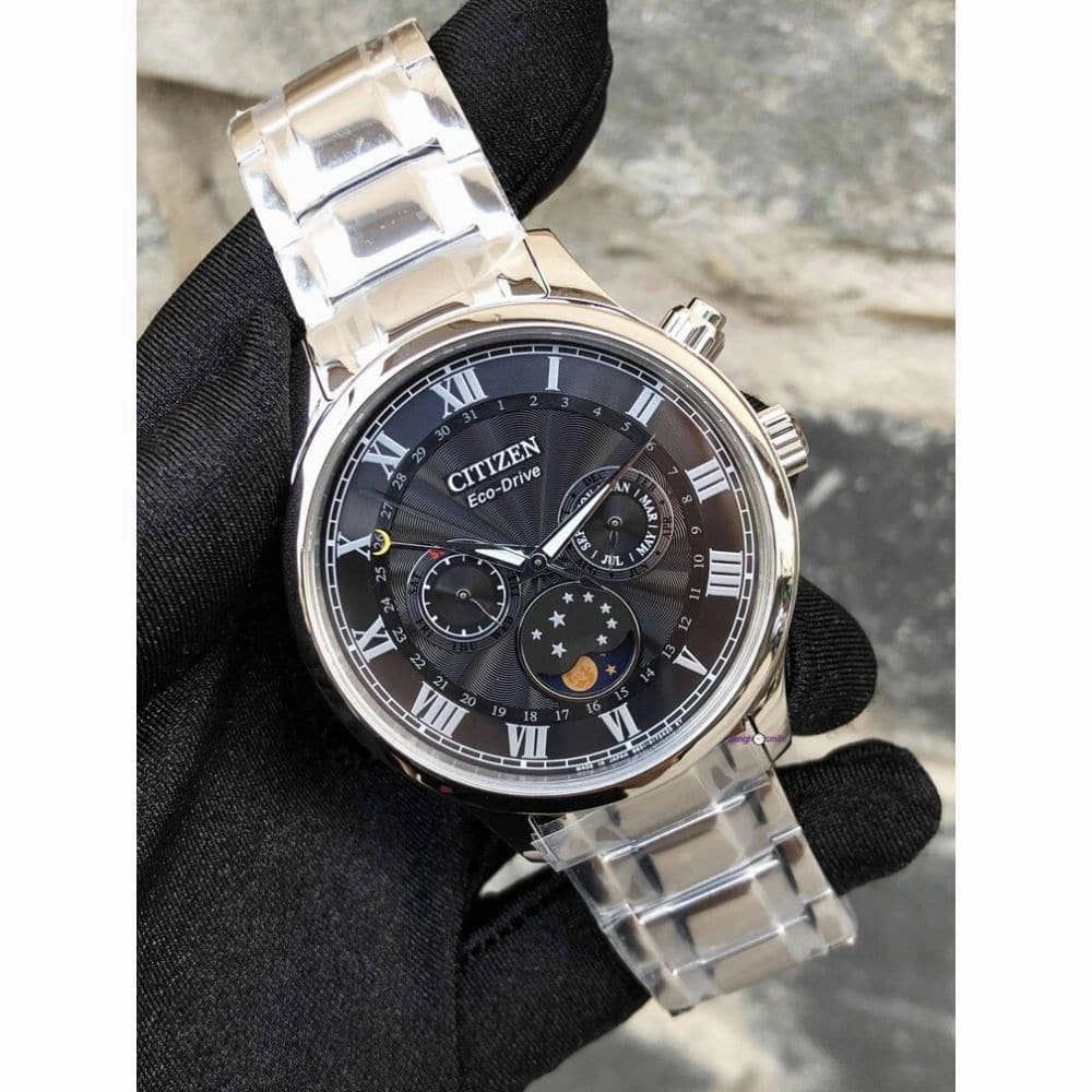 Citizen Eco-drive Stainless Steel Men's Watch AP1050-81E