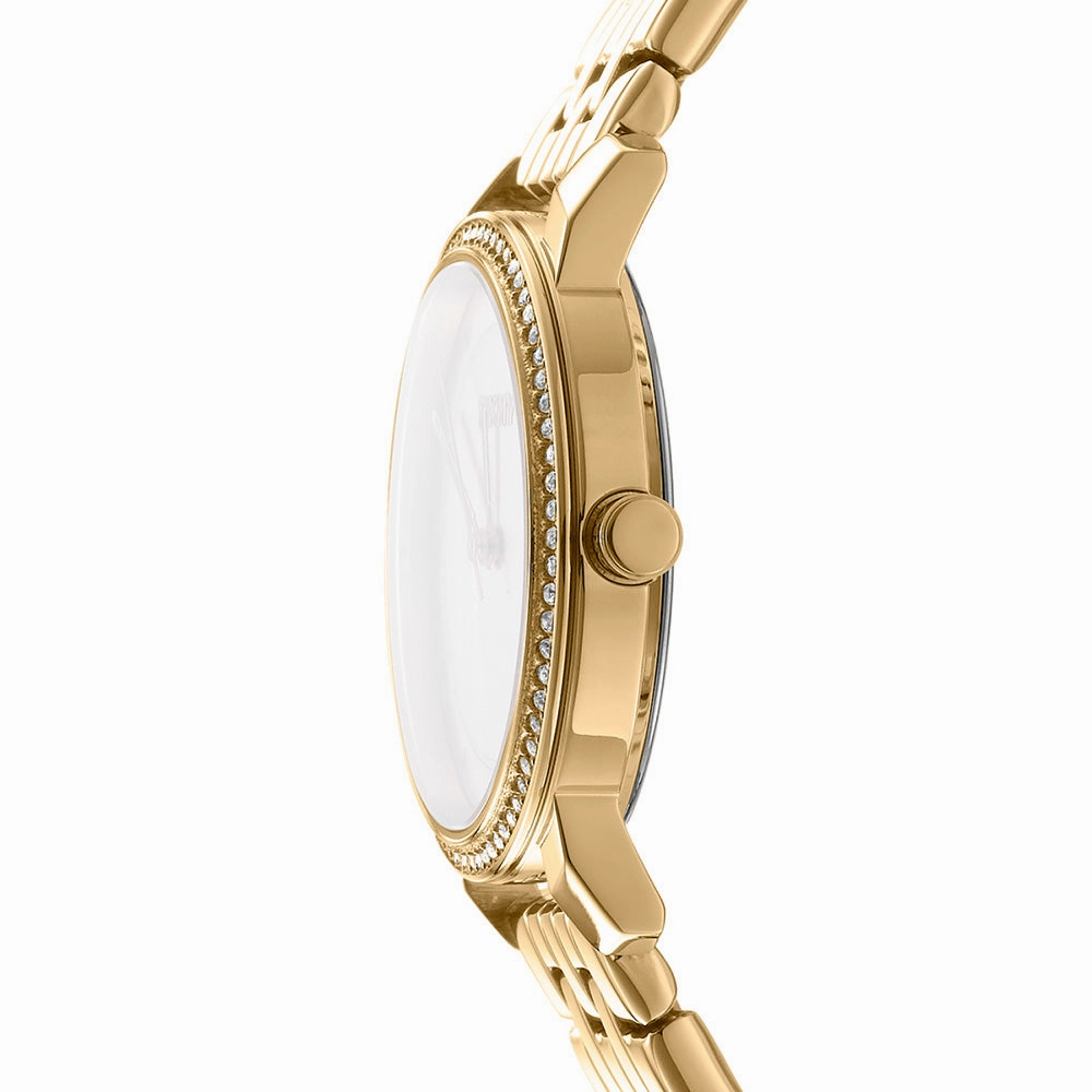 DKNY Astoria Glitz DK1L065M0045