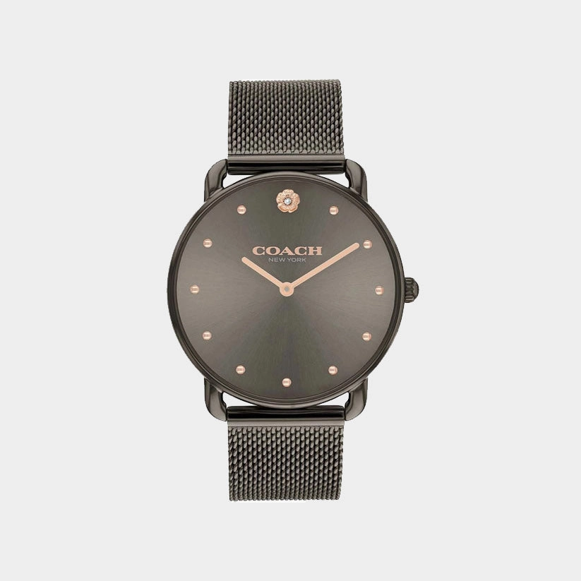Elliot Women Quartz Brown Dial Analog Mesh Watch 14504210