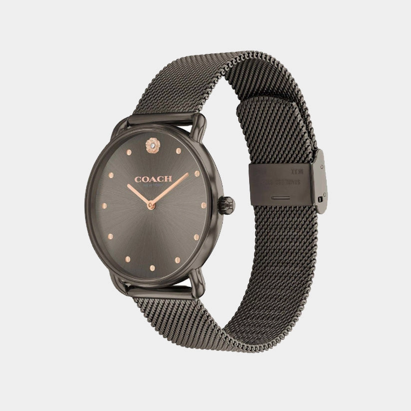 Elliot Women Quartz Brown Dial Analog Mesh Watch 14504210