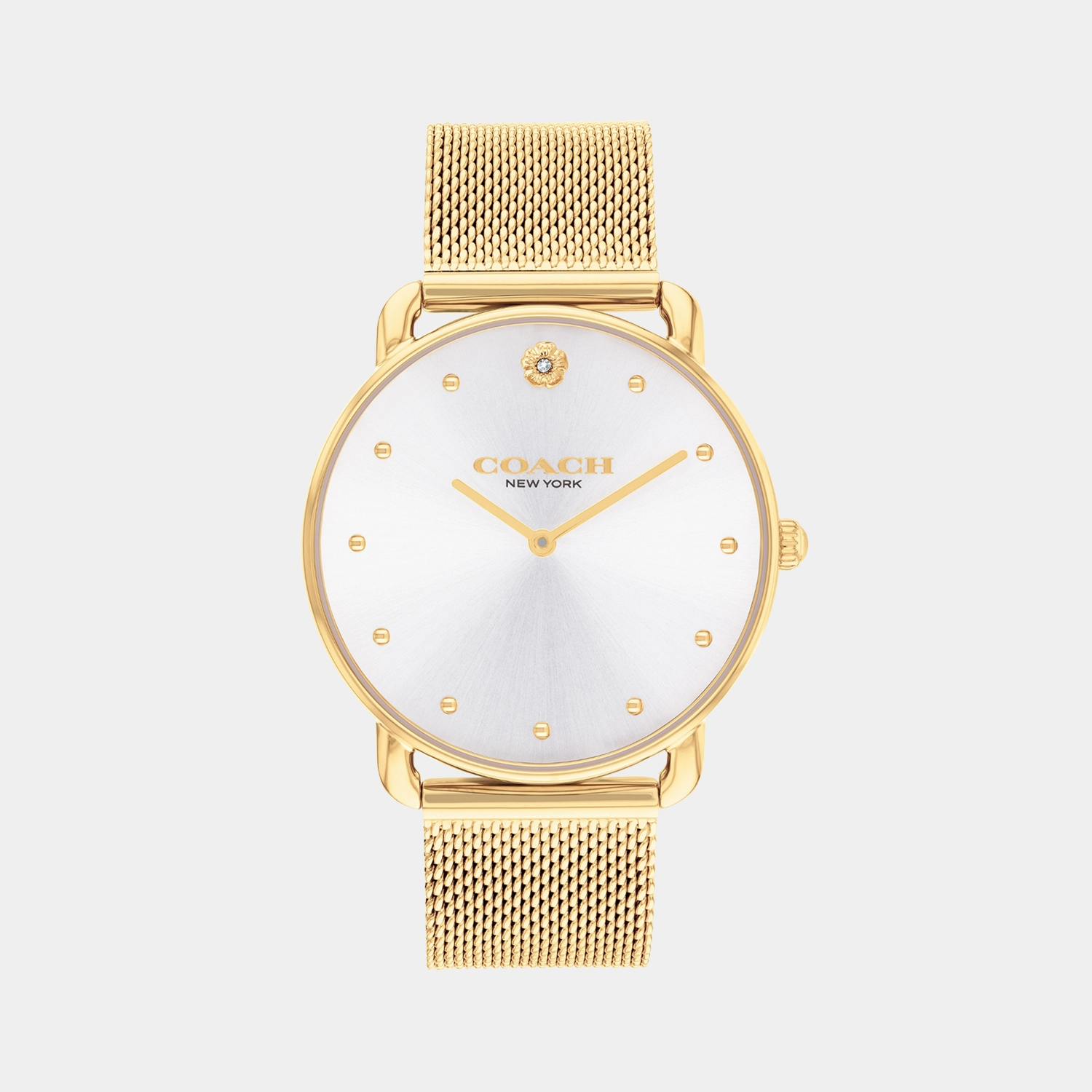 Elliot Women Quartz Silver Dial Analog Stainless Steel Watch 14504208