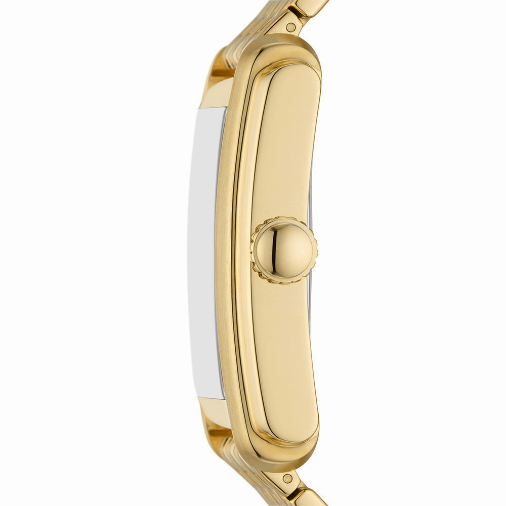 Fossil Carraway FS6009