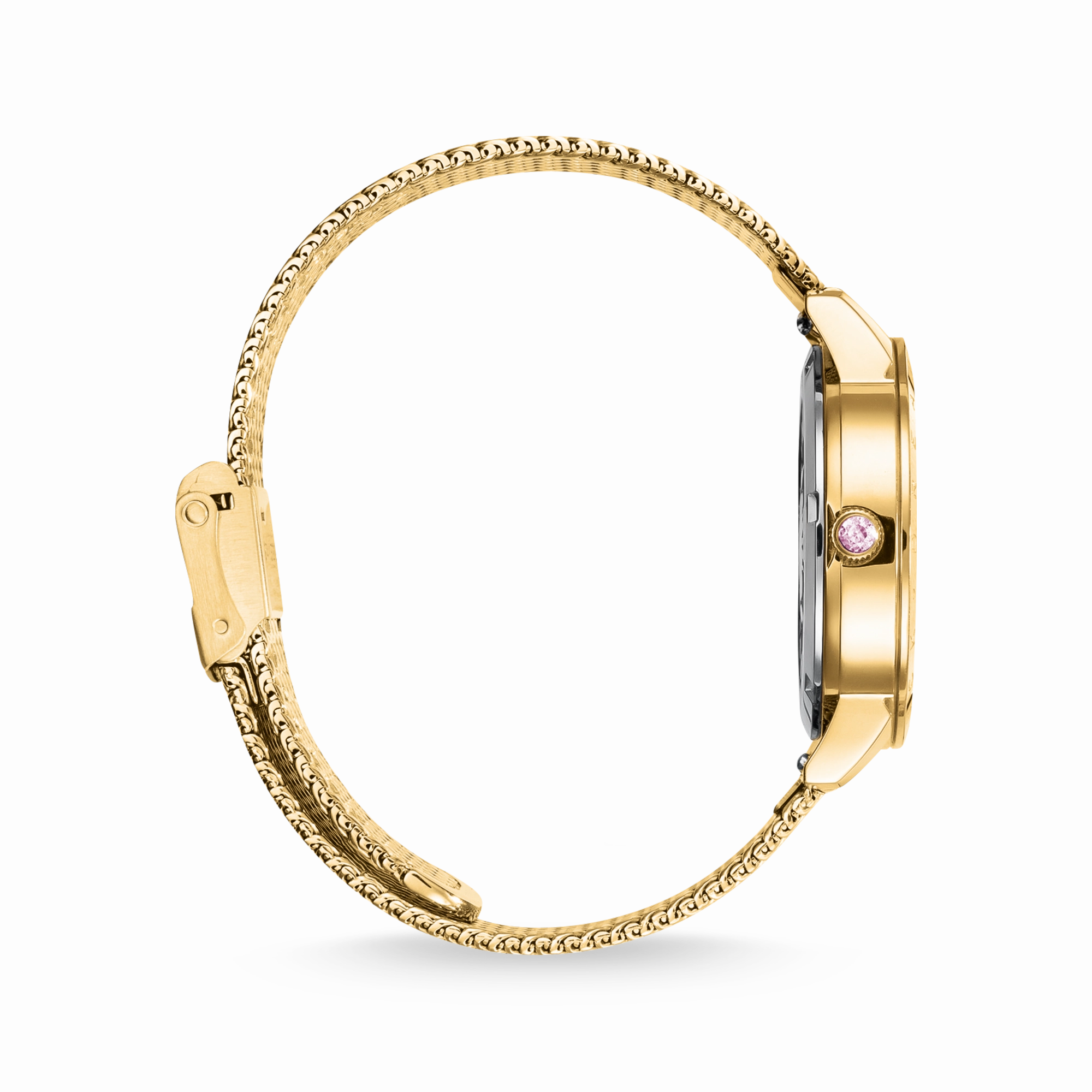 Luminescent Butterfly Watch in Gold