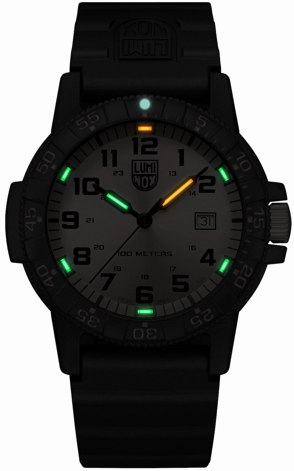 Luminox Leatherback Sea Turtle Giant 0320 Series Watch