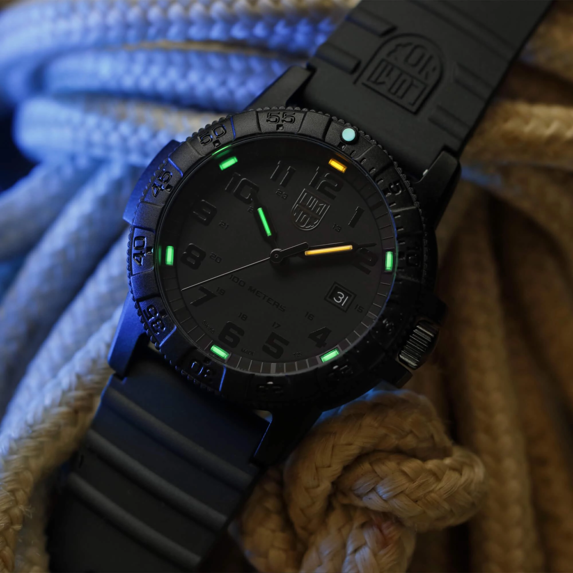 Luminox Sea Turtle Giant 0320 Men's Black Band Watch | 0321.BO