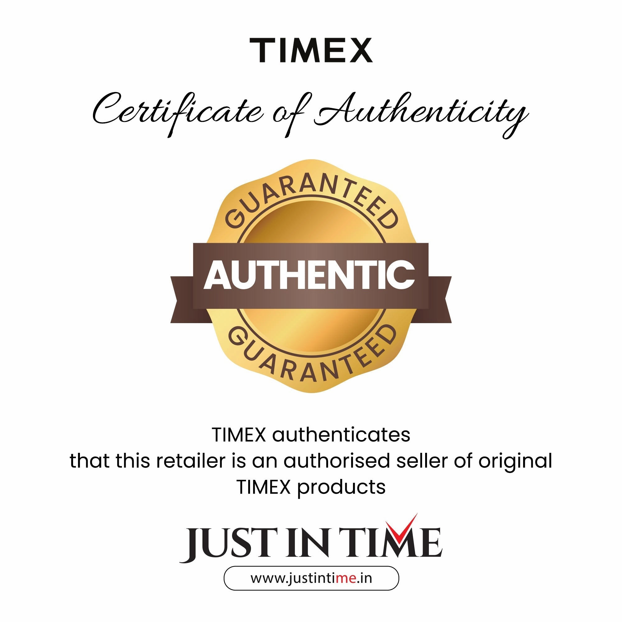 Men Silver Analog Stainless Steel Watch TW0TG8306