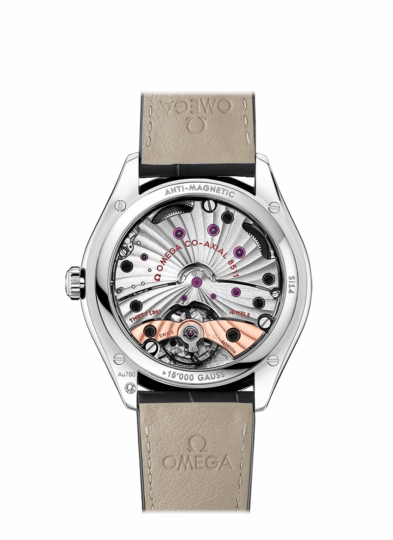 OMEGA De Ville Trsor Master CoAxial Chronometer 40 mm