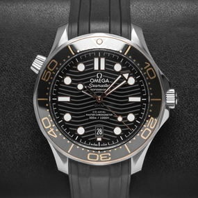 Omega Seamaster 210.22.42.20.01.002