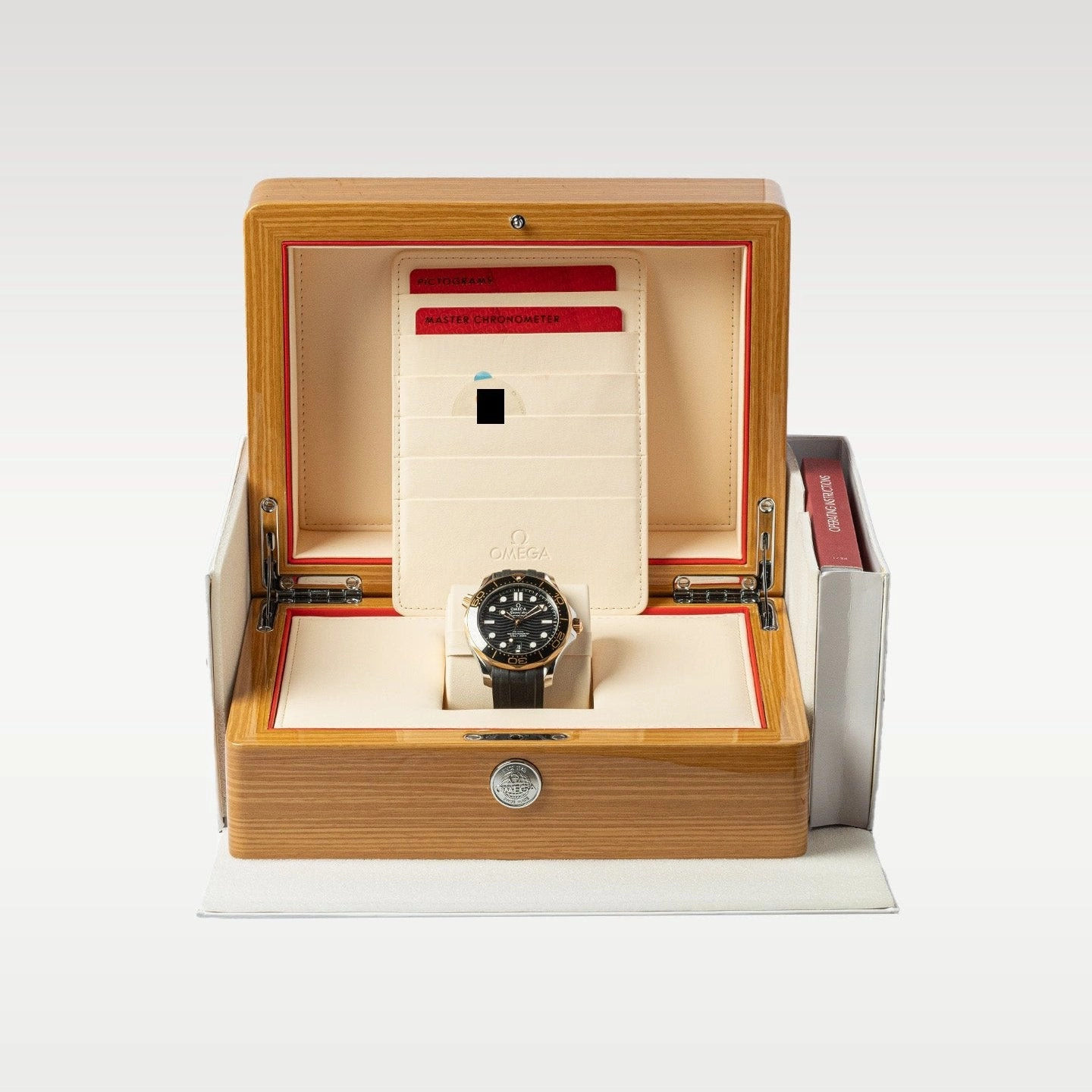 Omega Seamaster 210.22.42.20.01.002