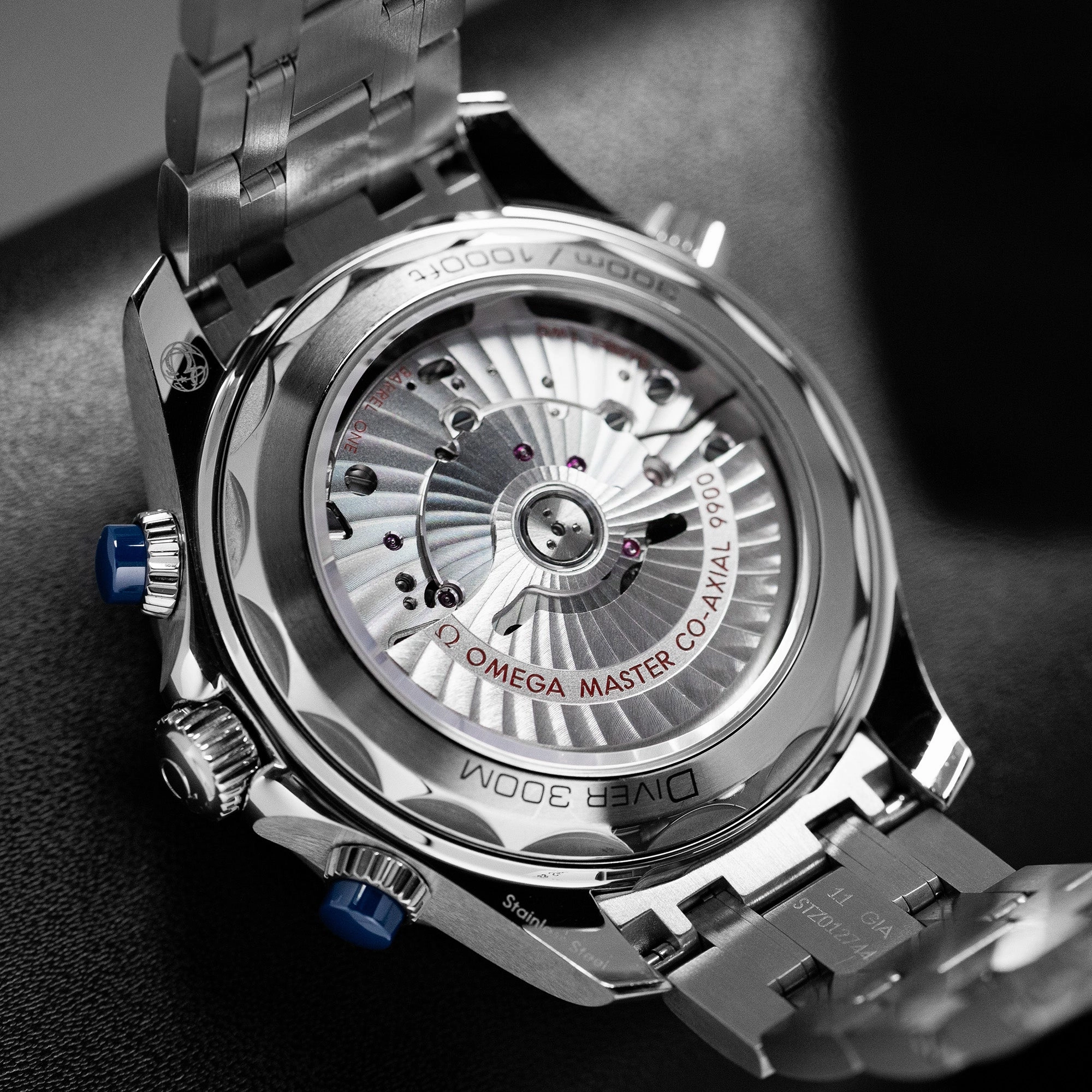 Omega Seamaster 300 210.30.44.51.03.001