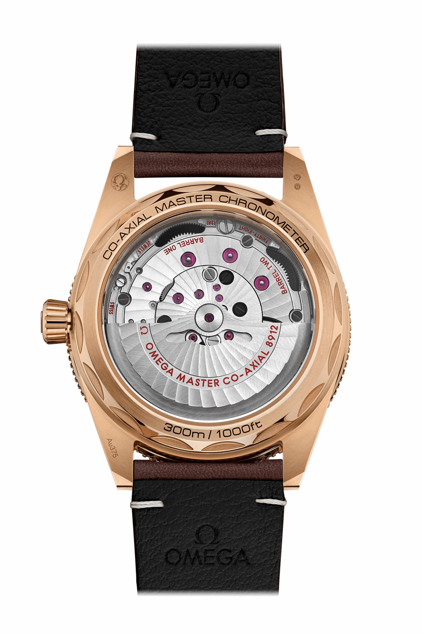 Omega SEAMASTER 300 co-axial Master Chronometer 41 MM