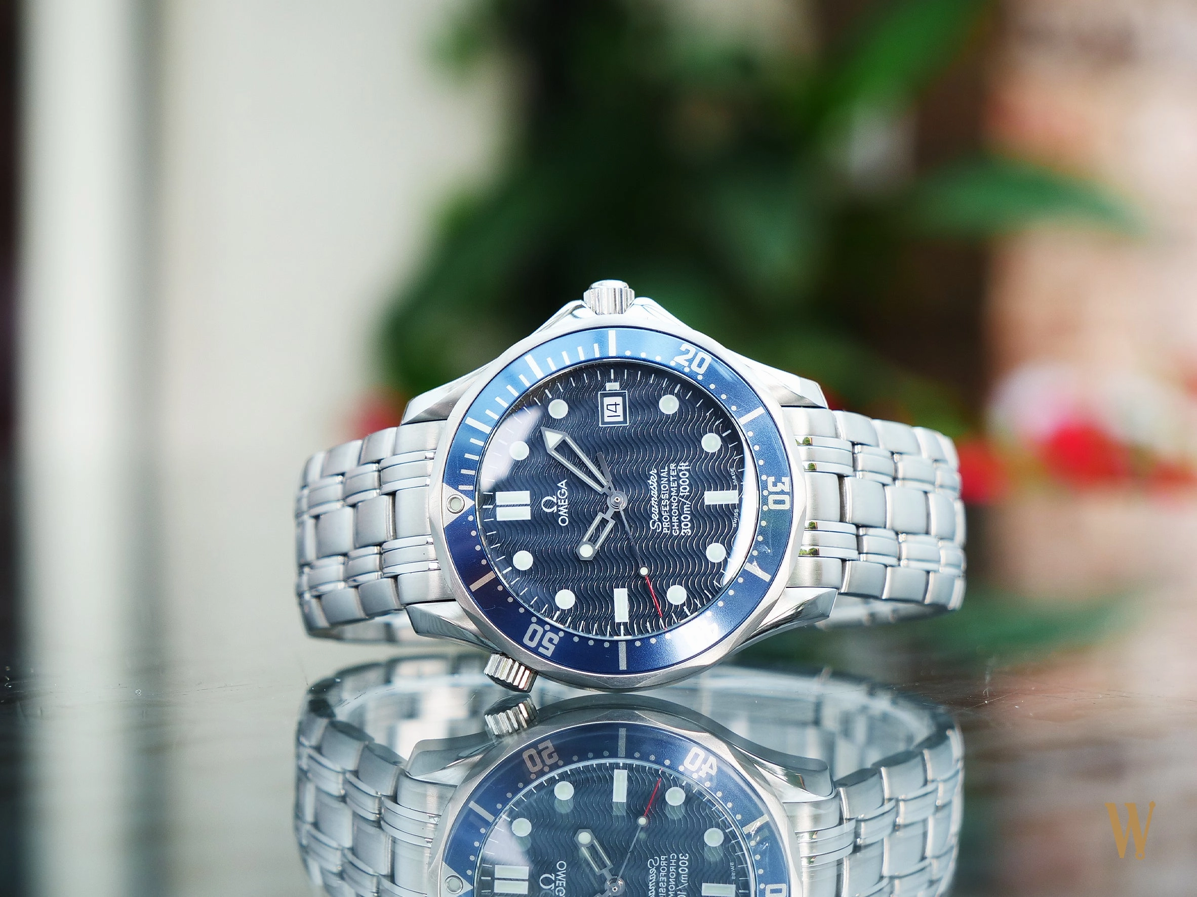 Omega Seamaster 300 Professional