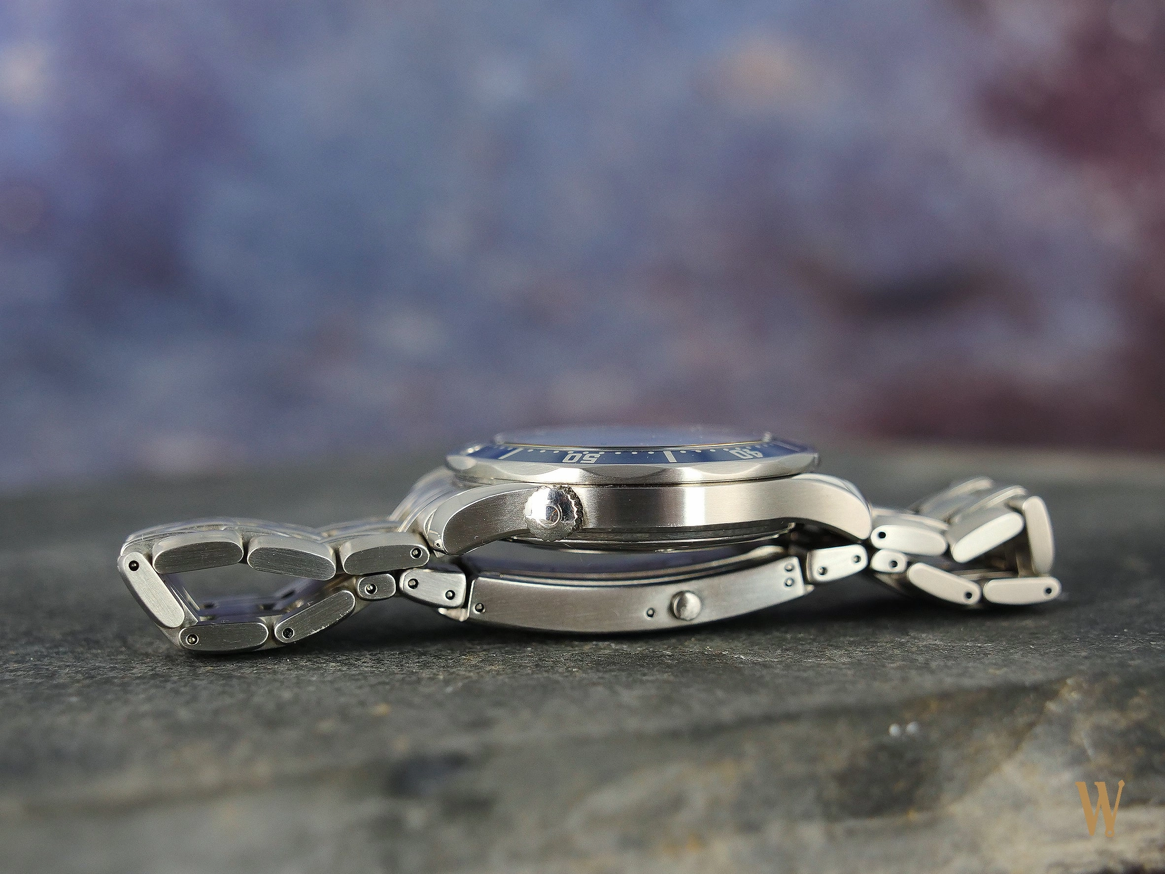 Omega Seamaster 300 Professional