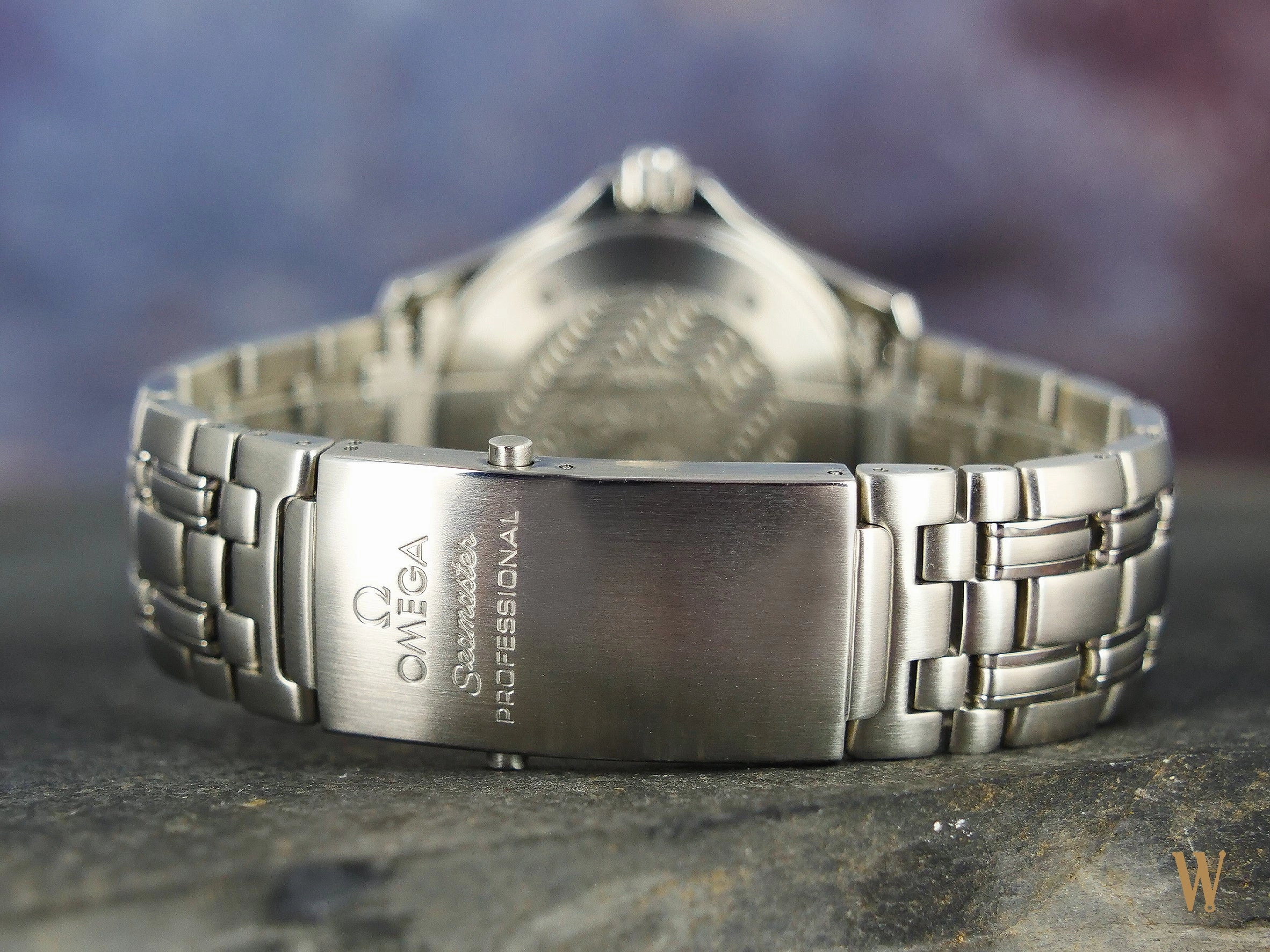 Omega Seamaster 300 Professional