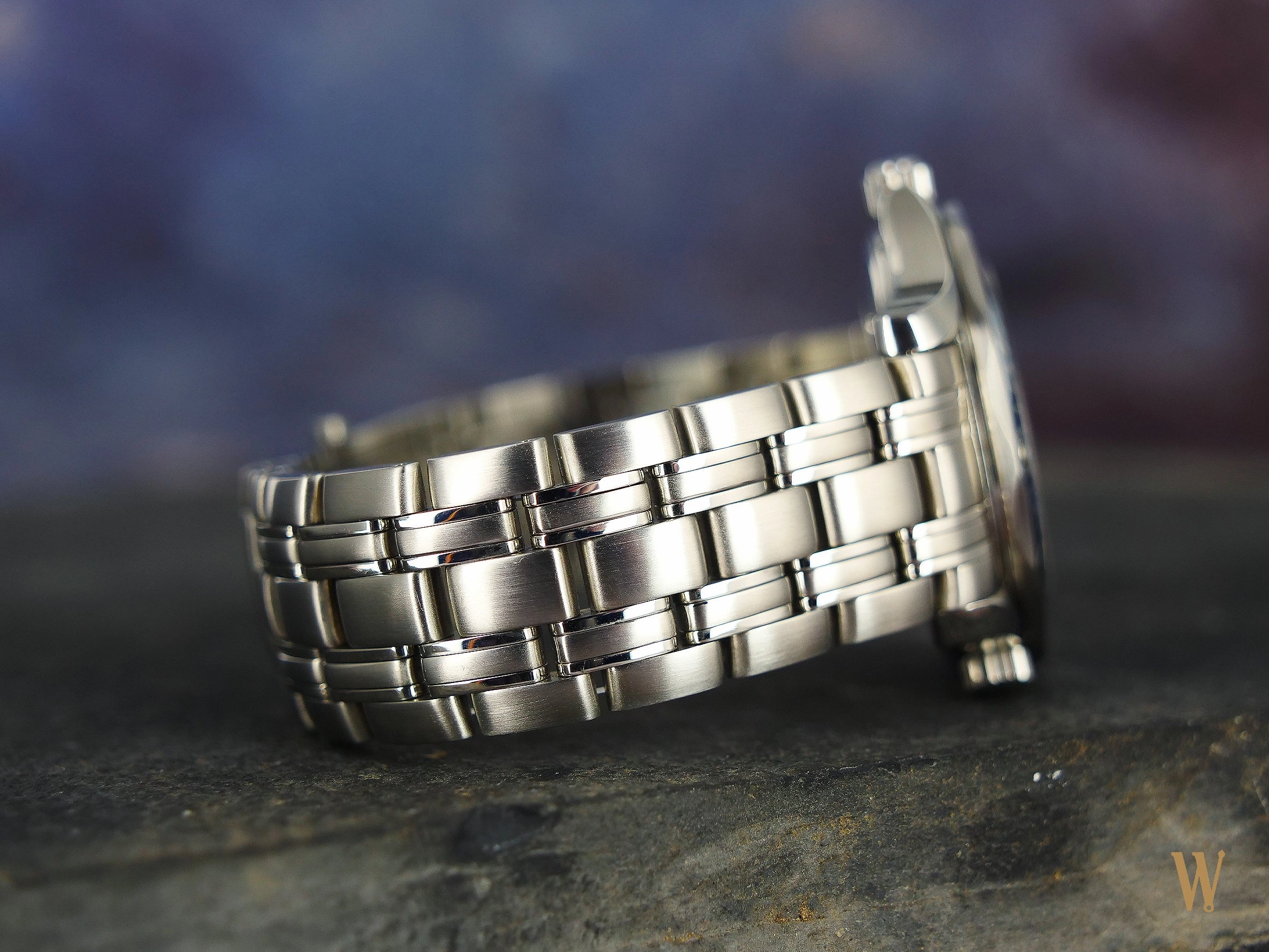 Omega Seamaster 300 Professional