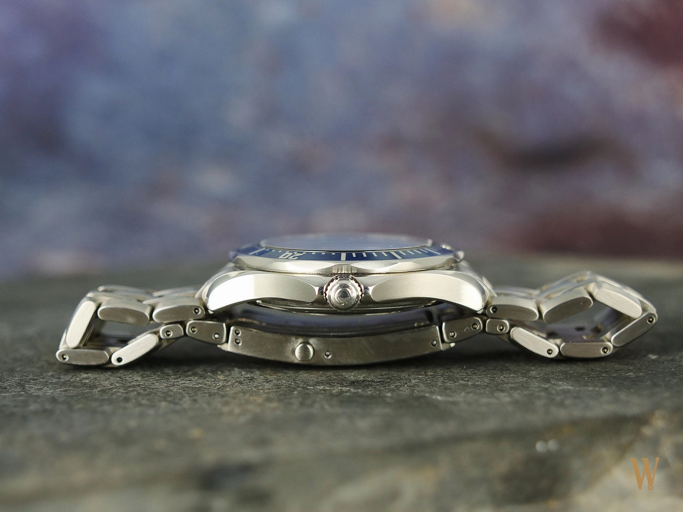 Omega Seamaster 300 Professional