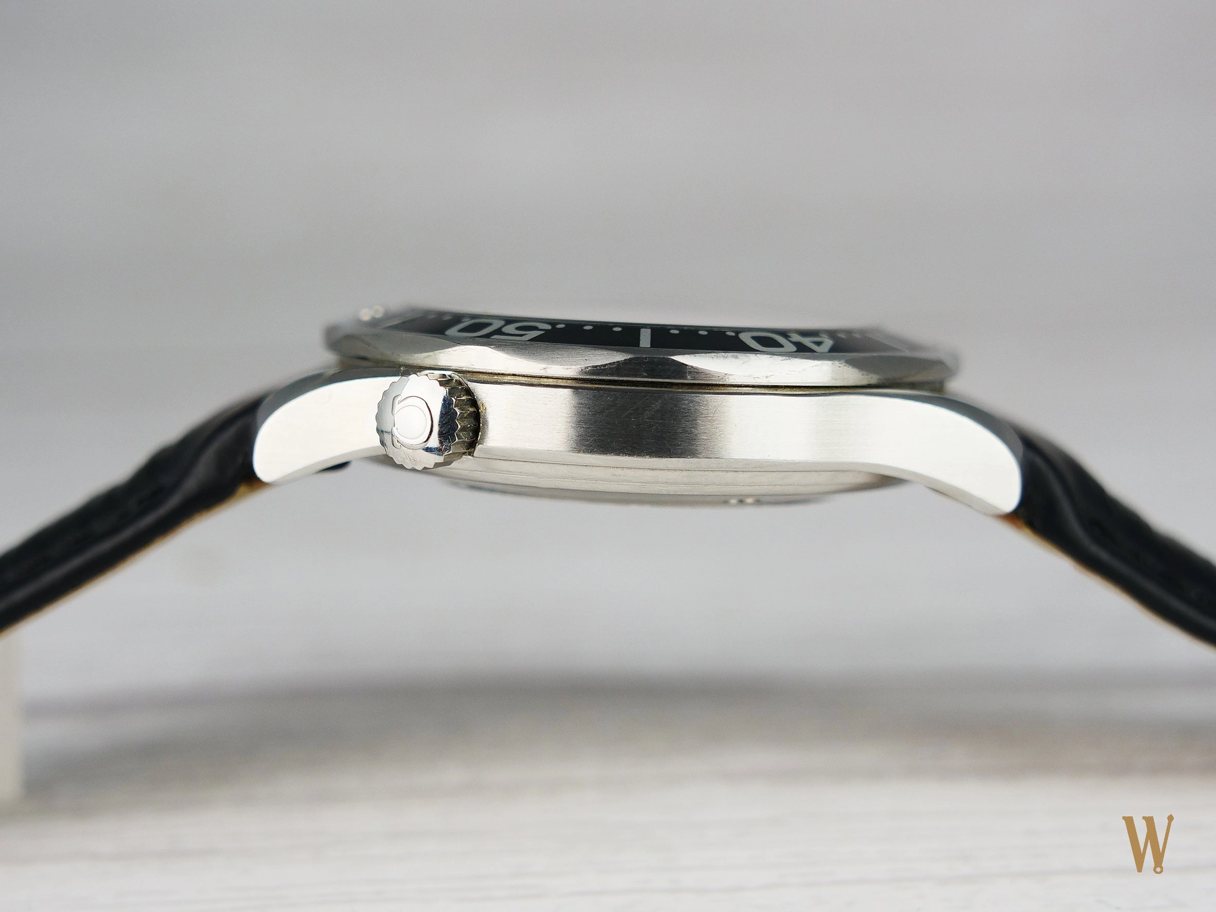 Omega Seamaster 300 Professional