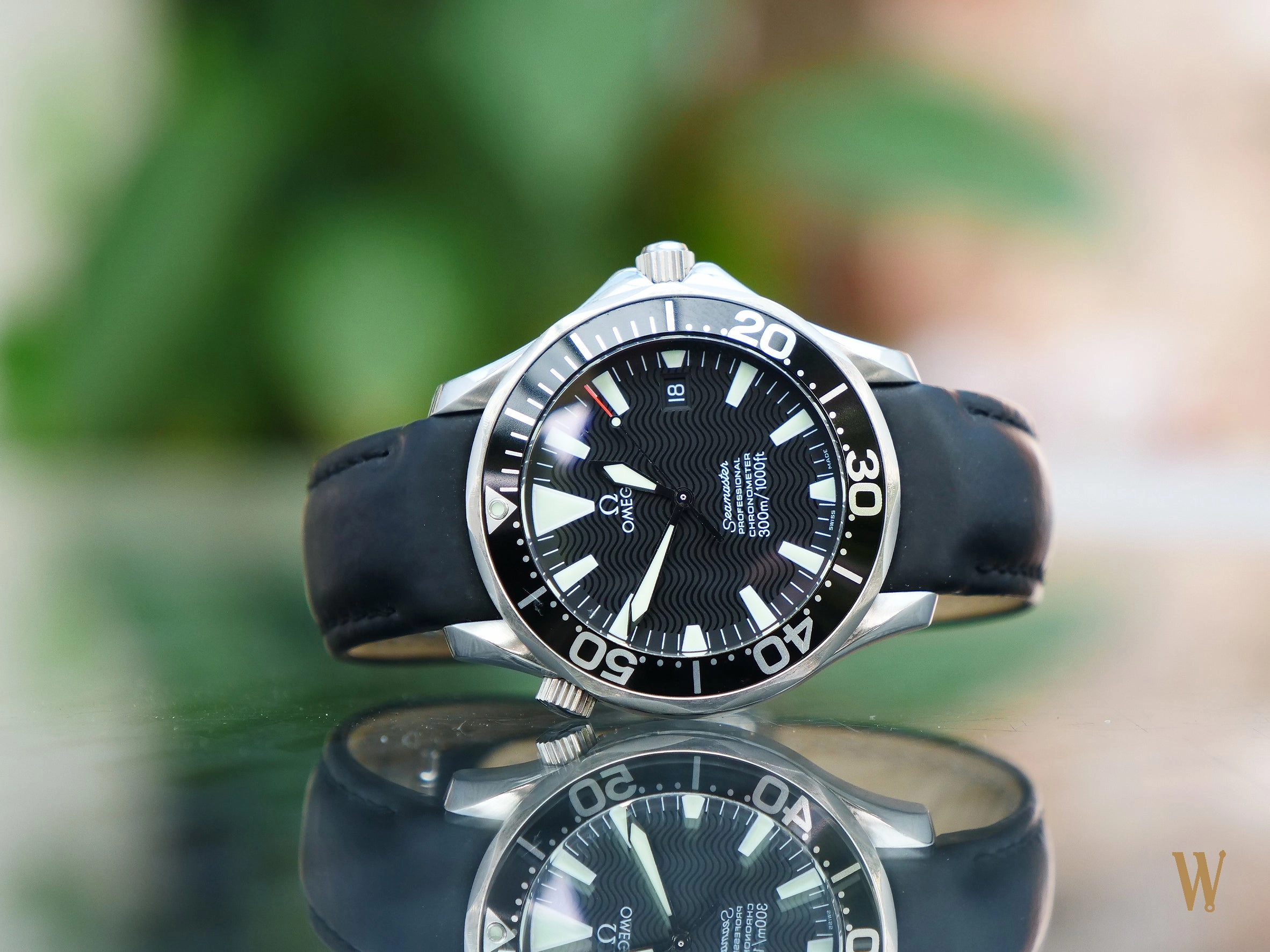 Omega Seamaster 300 Professional