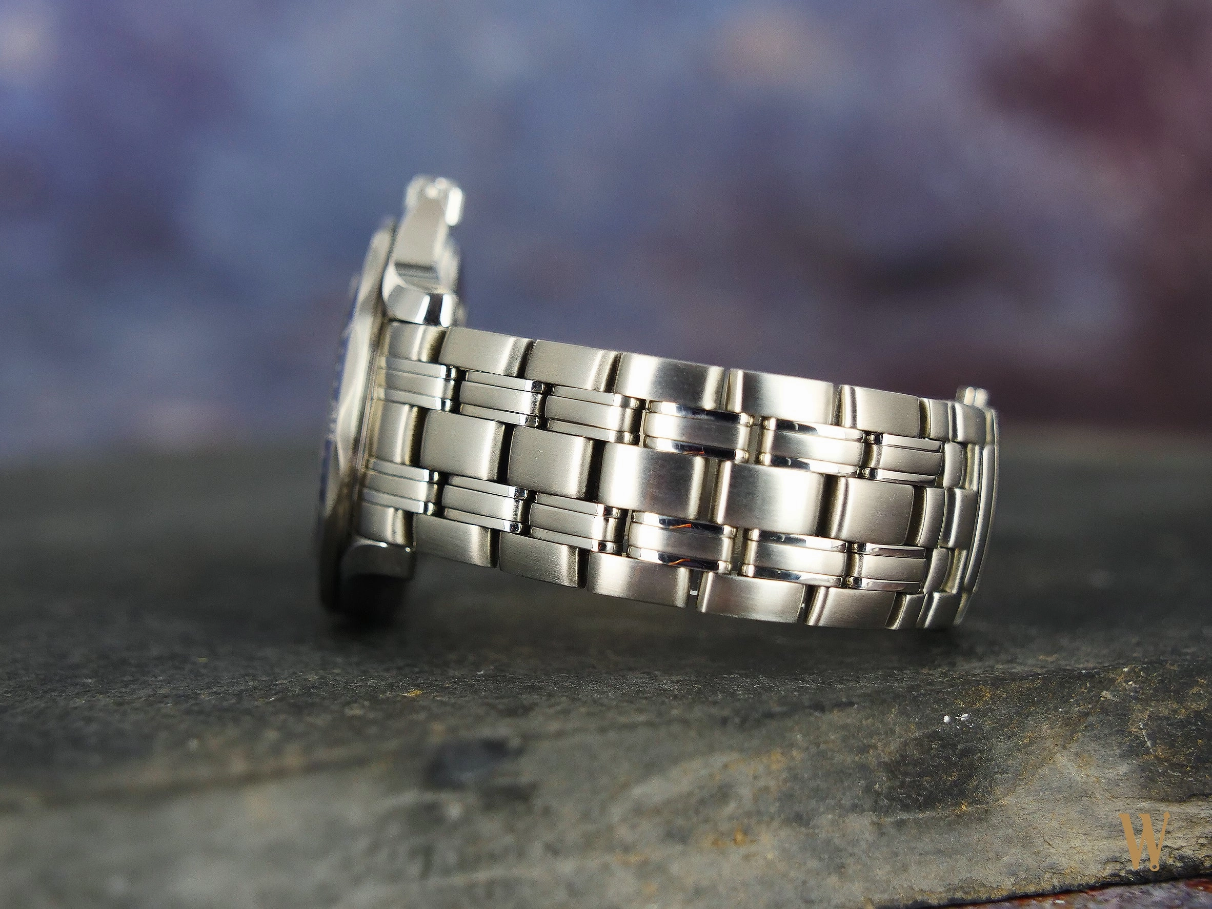 Omega Seamaster 300 Professional