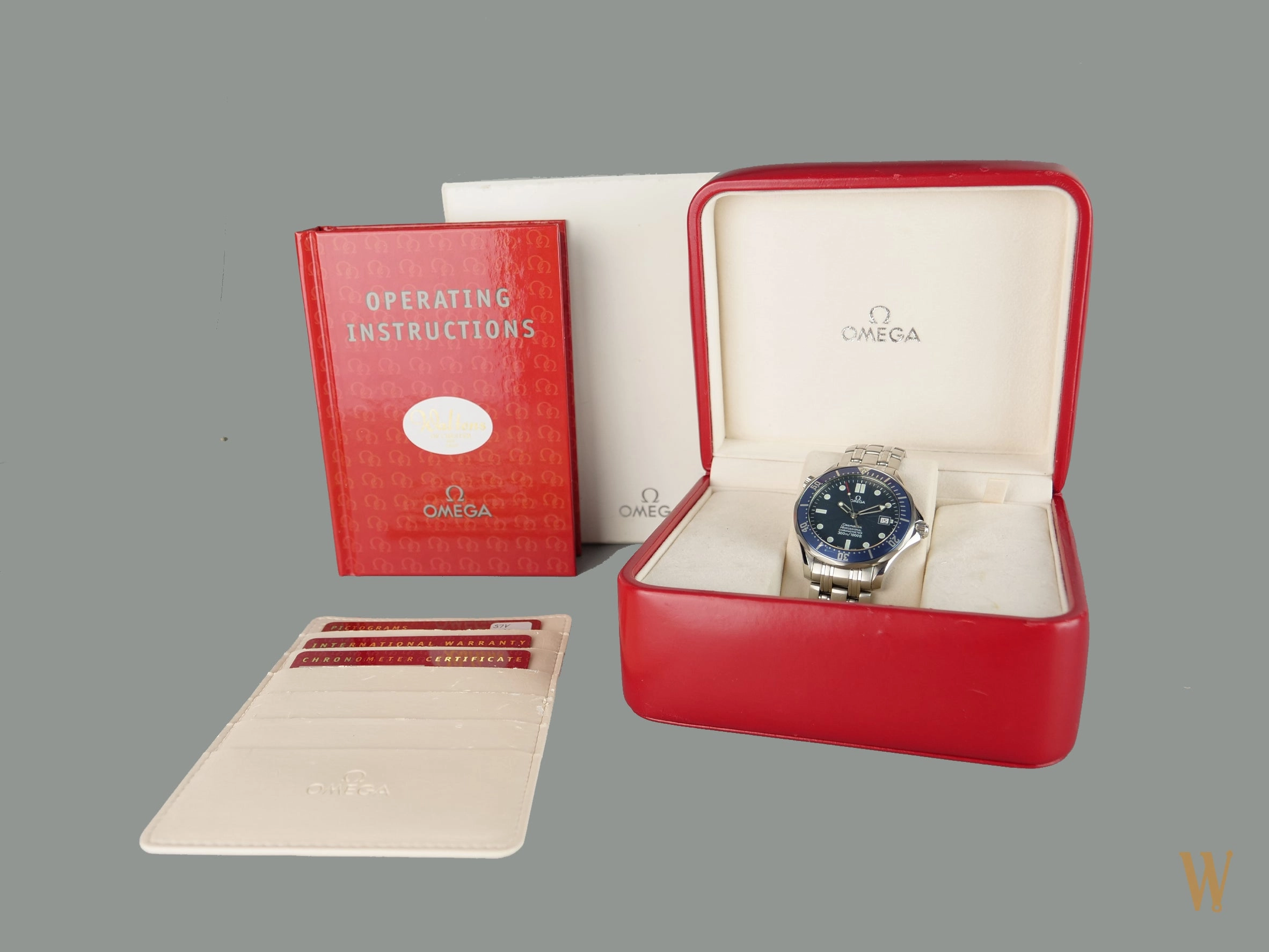 Omega Seamaster 300 Professional