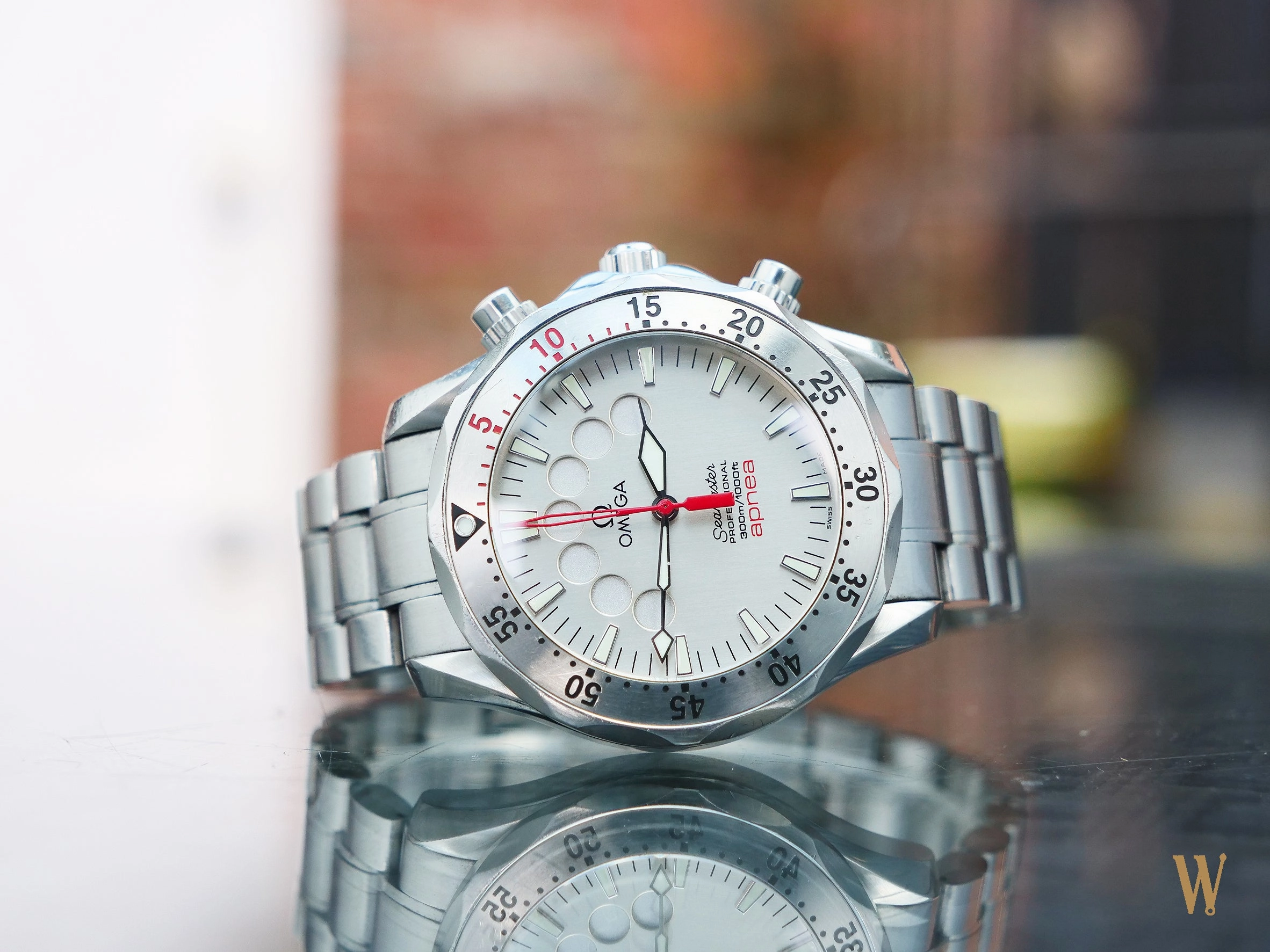 Omega Seamaster 300m Jacques Mayol