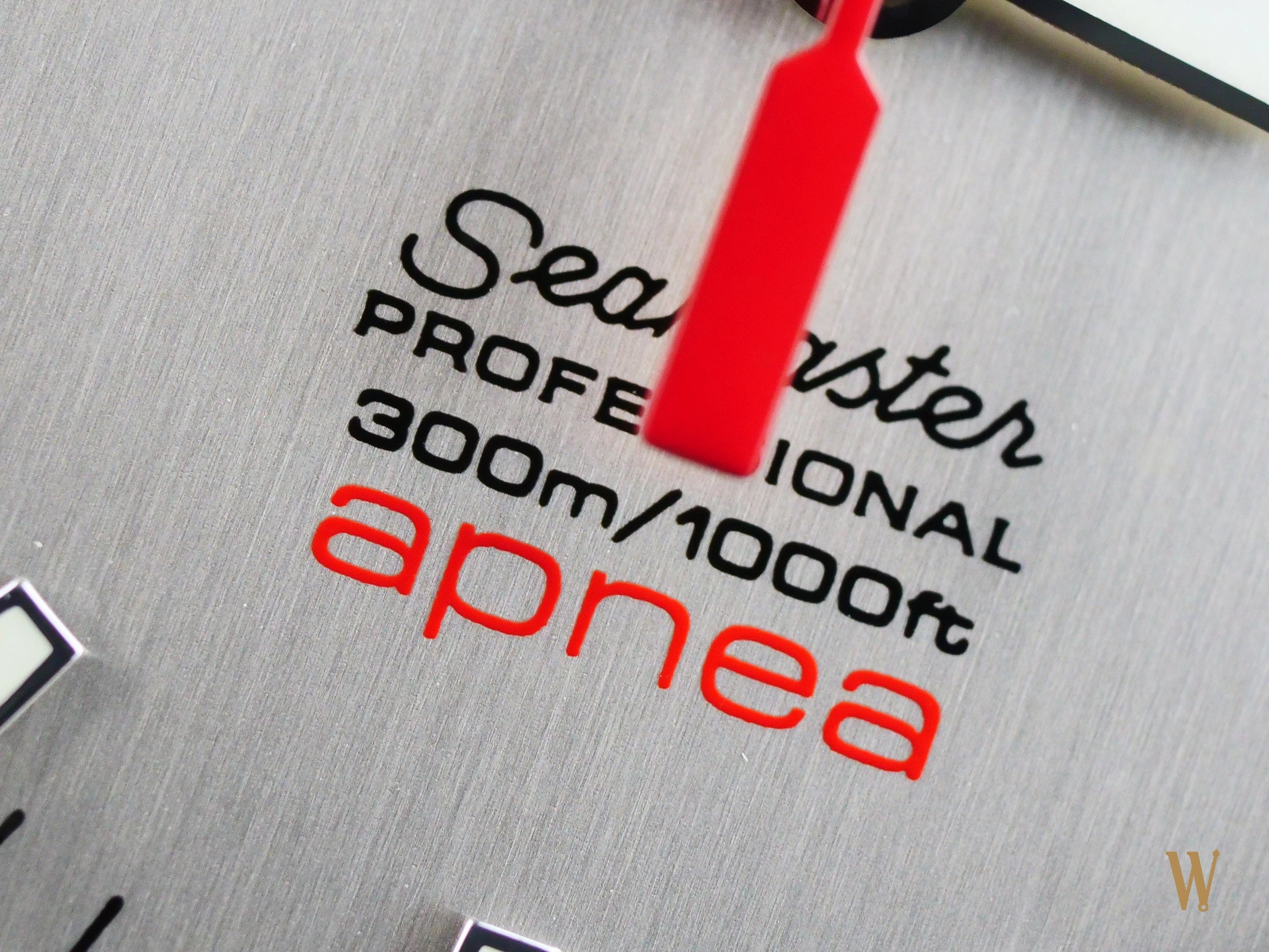 Omega Seamaster 300m Jacques Mayol