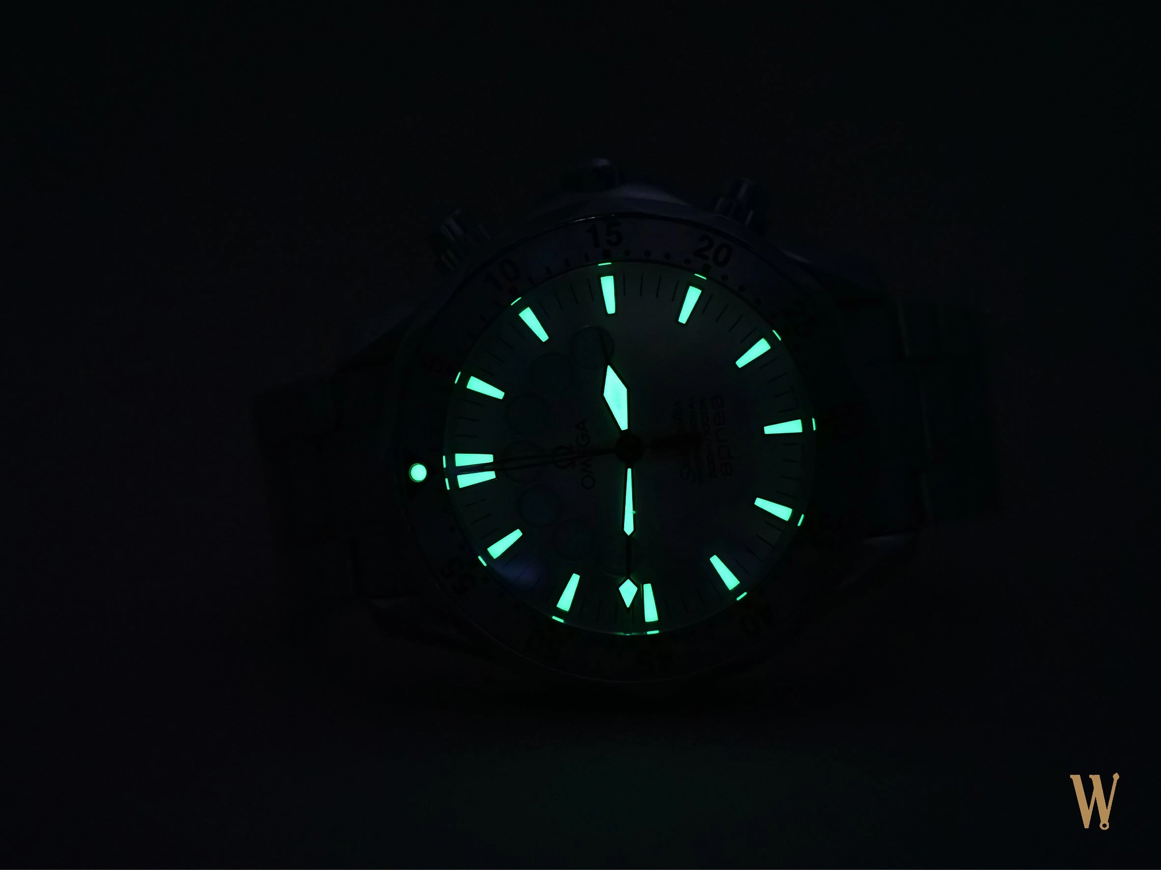 Omega Seamaster 300m Jacques Mayol