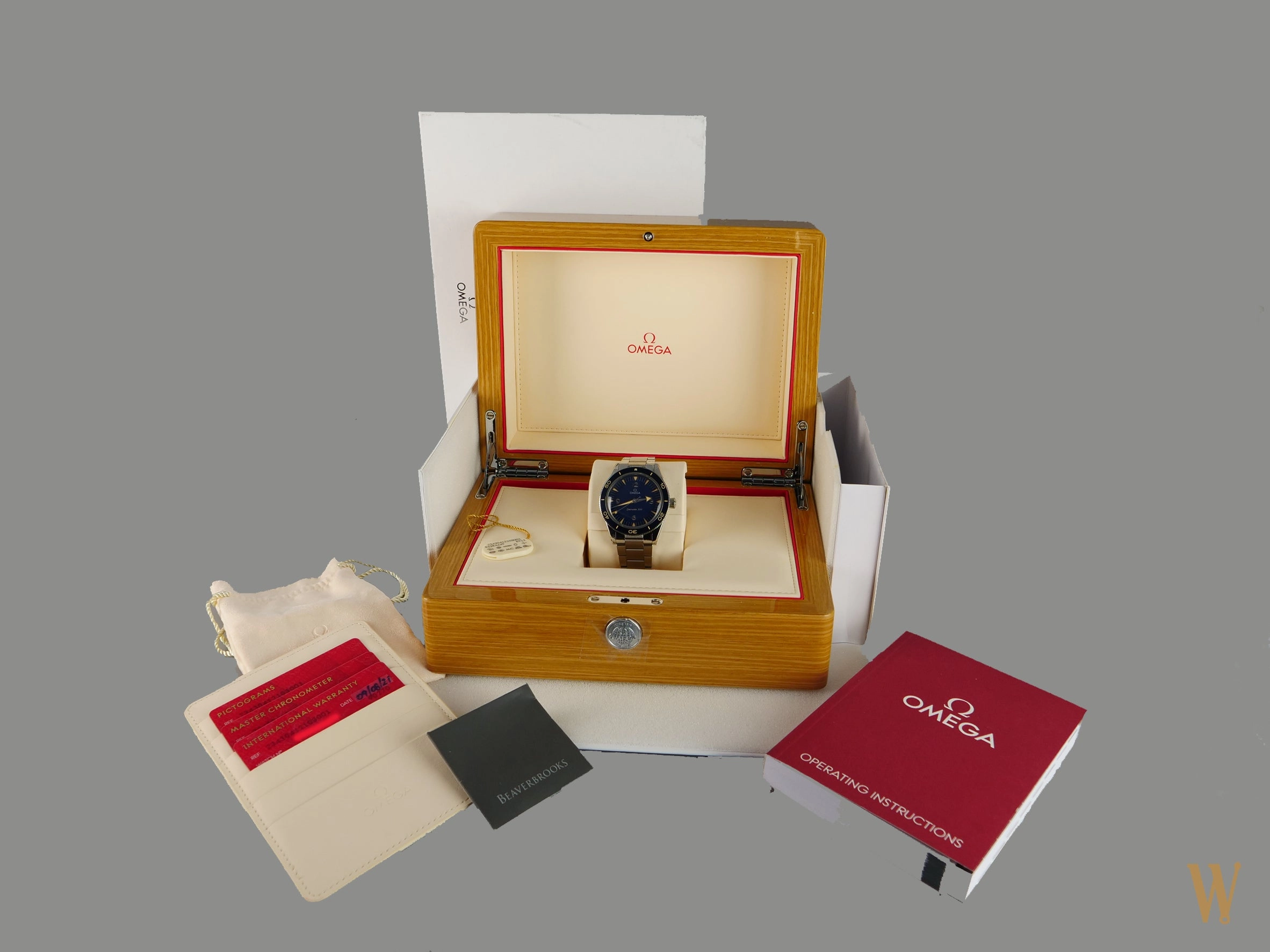 Omega Seamaster 300m Lollipop
