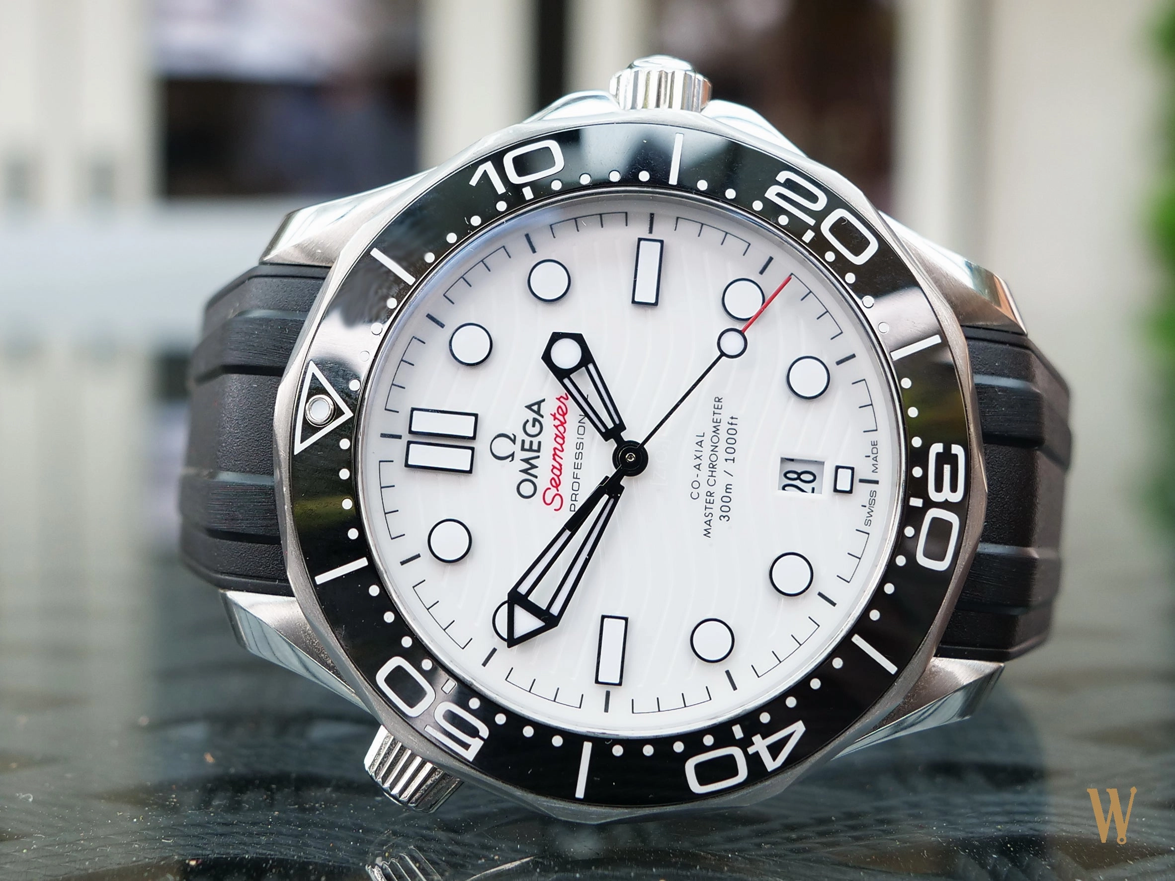 Omega Seamaster 300m Master Chronometer Polar Dial