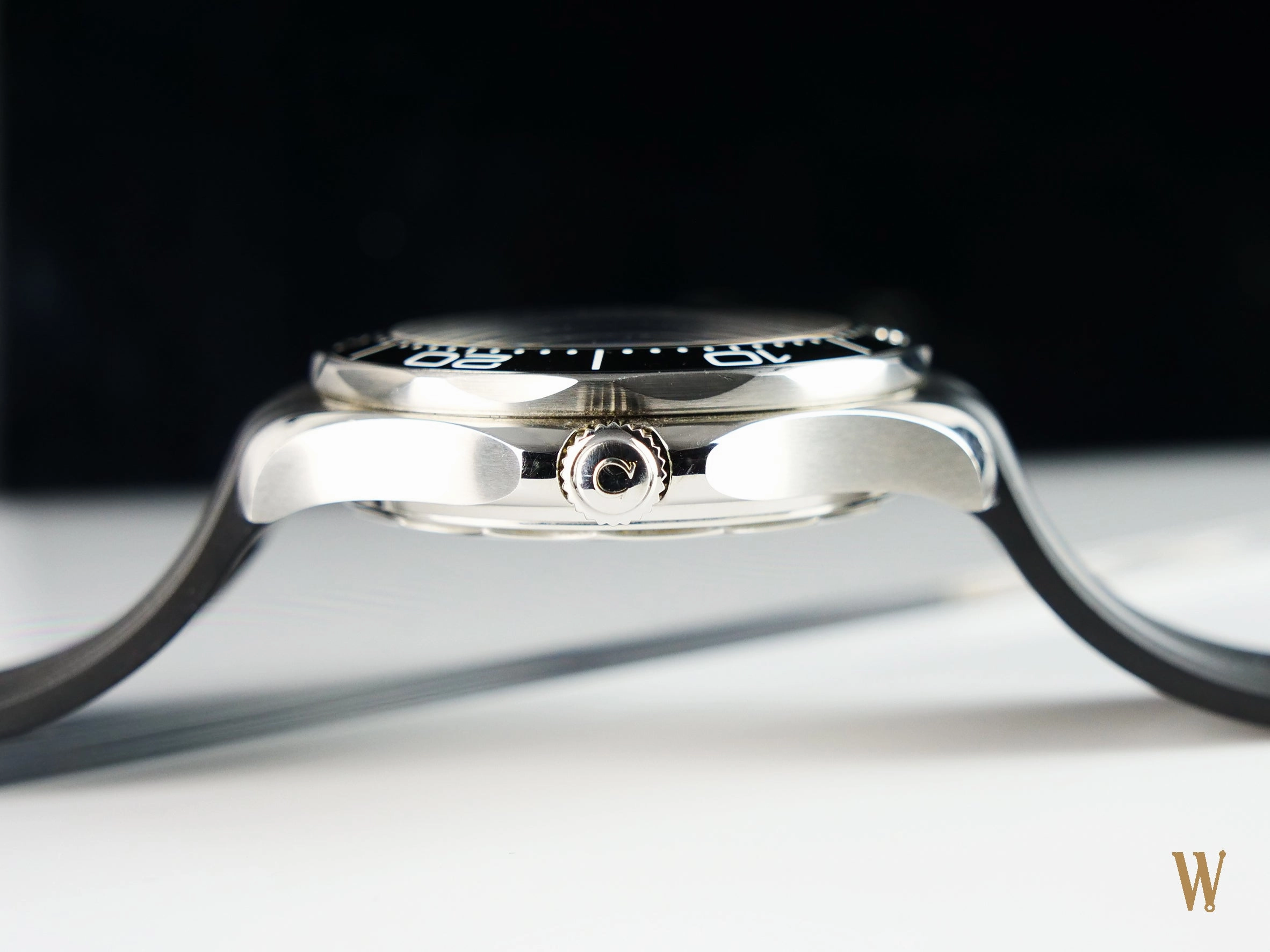 Omega Seamaster 300m Master Chronometer Polar Dial