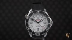 Omega Seamaster 300m Master Chronometer Polar Dial