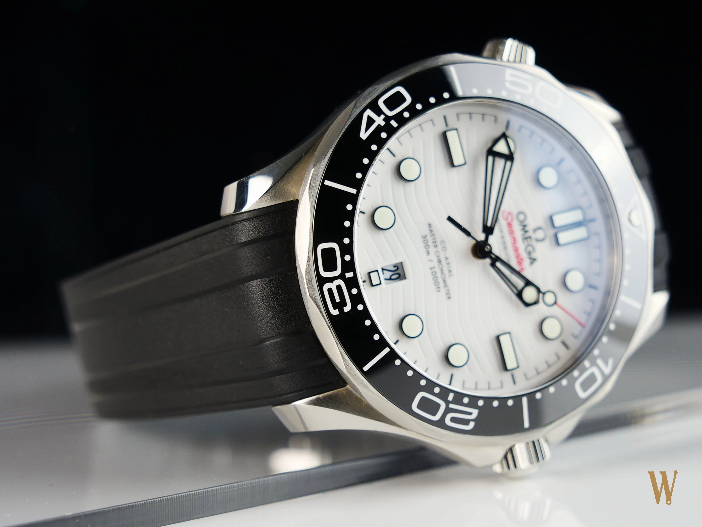 Omega Seamaster 300m Master Chronometer Polar Dial