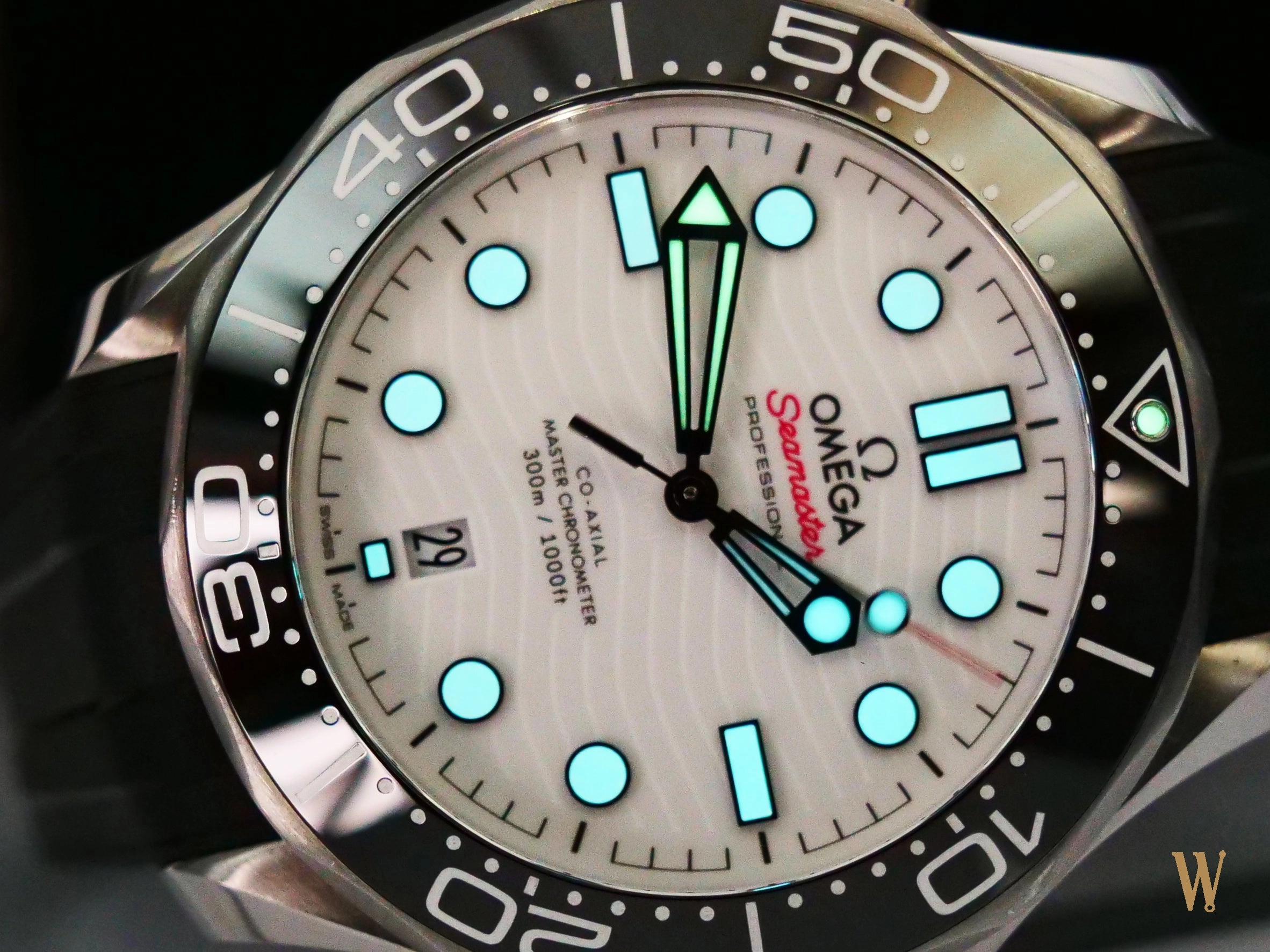 Omega Seamaster 300m Master Chronometer Polar Dial