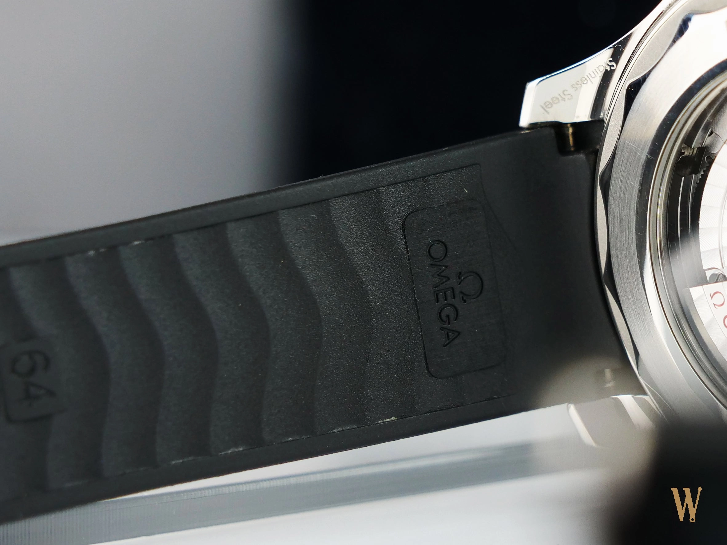 Omega Seamaster 300m Master Chronometer Polar Dial