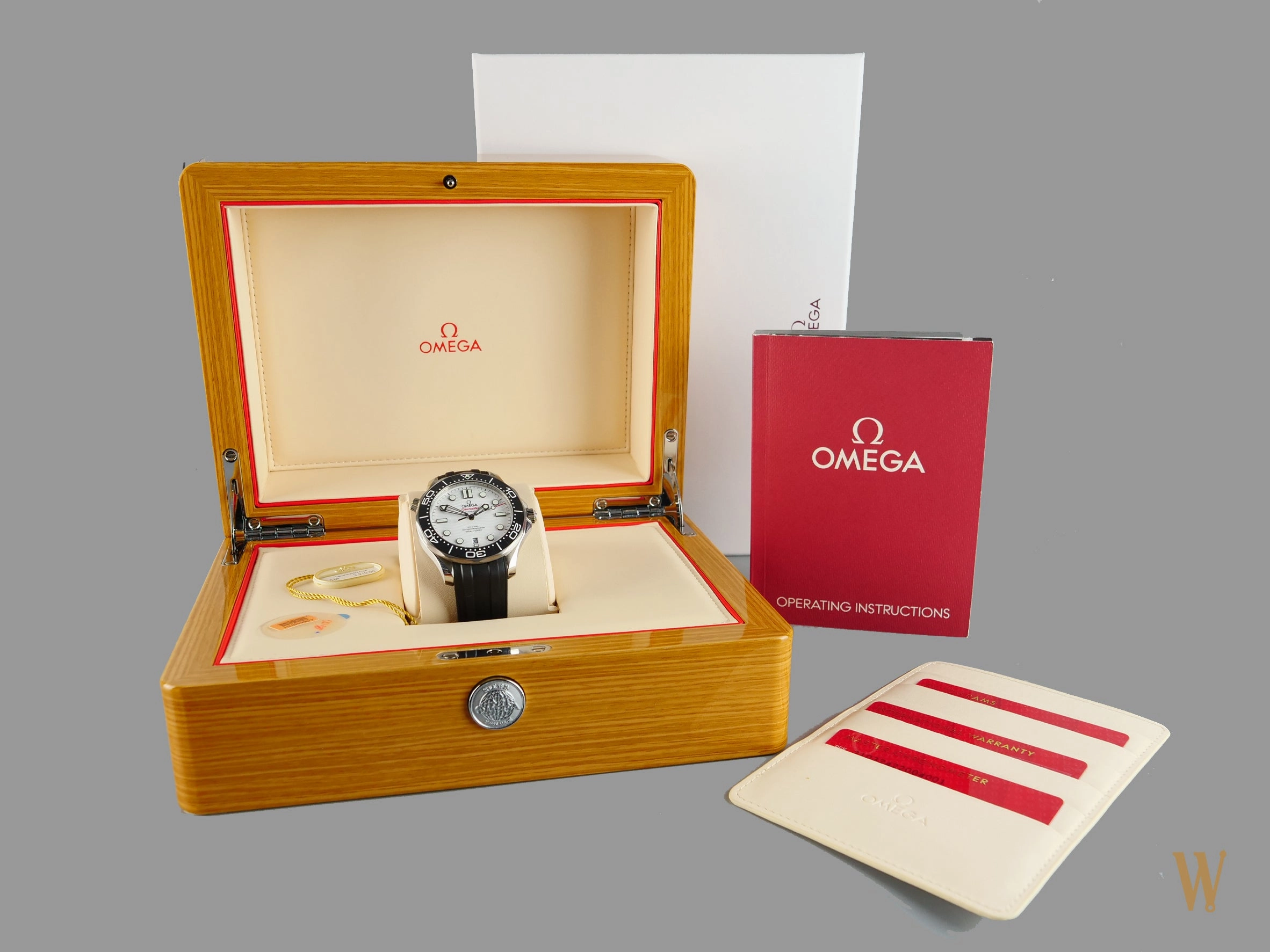 Omega Seamaster 300m Master Chronometer Polar Dial