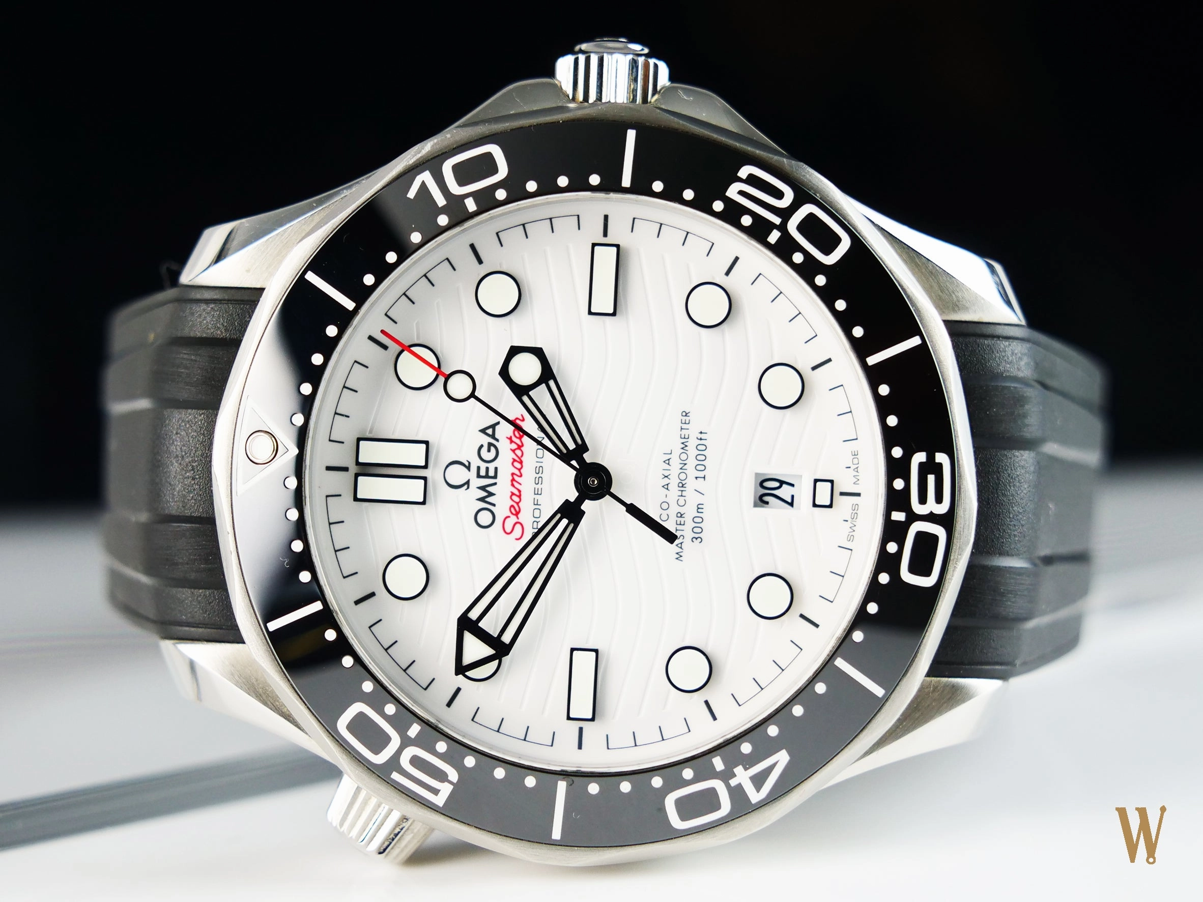 Omega Seamaster 300m Master Chronometer Polar Dial