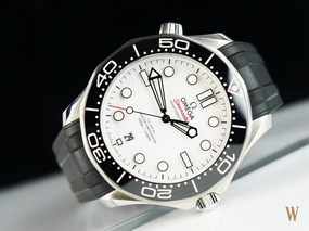 Omega Seamaster 300m Master Chronometer Polar Dial