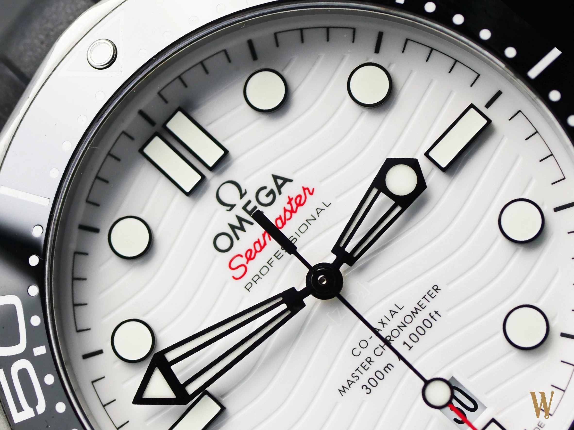 Omega Seamaster 300m Master Chronometer Polar Dial
