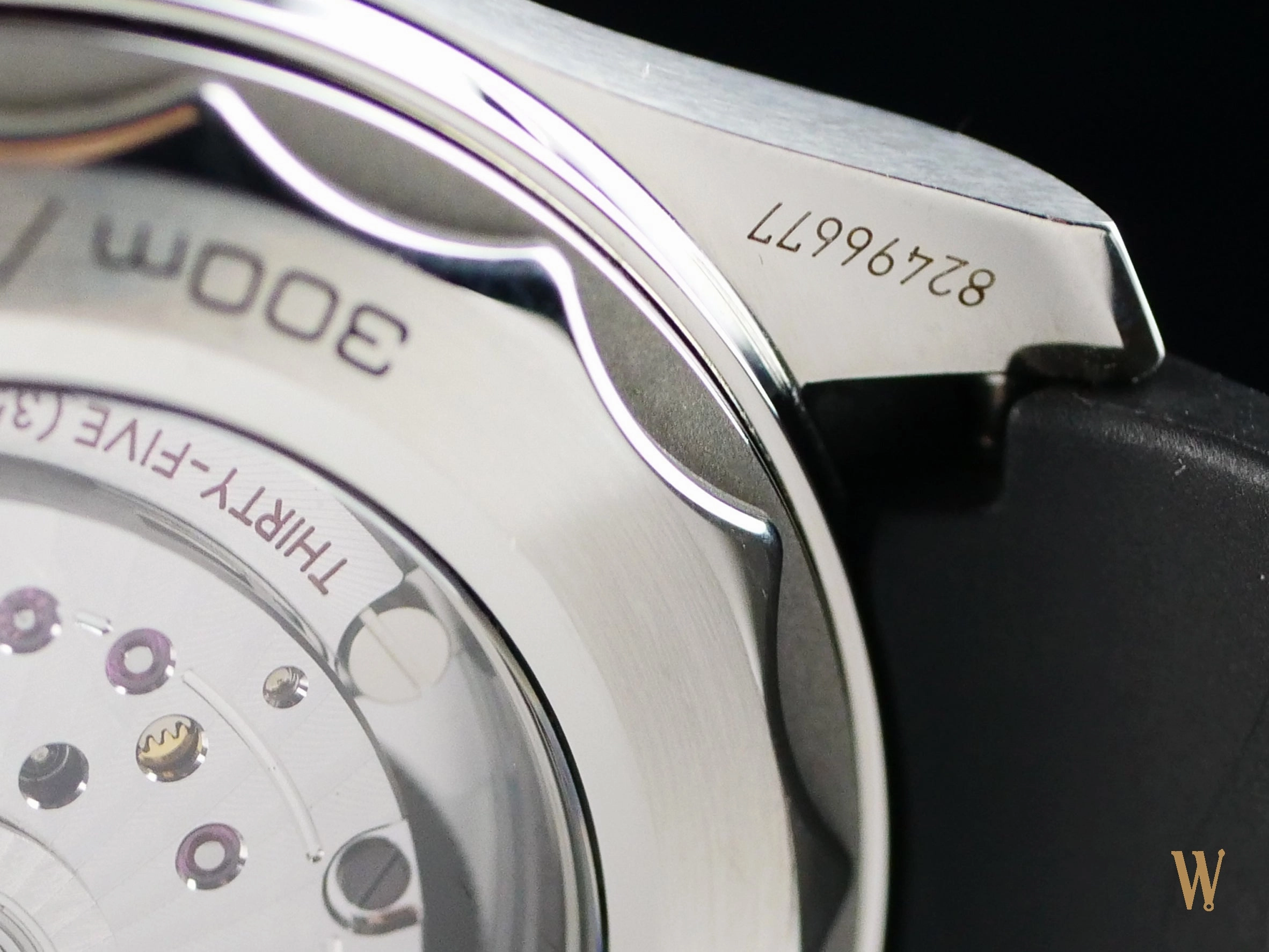 Omega Seamaster 300m Master Chronometer Polar Dial