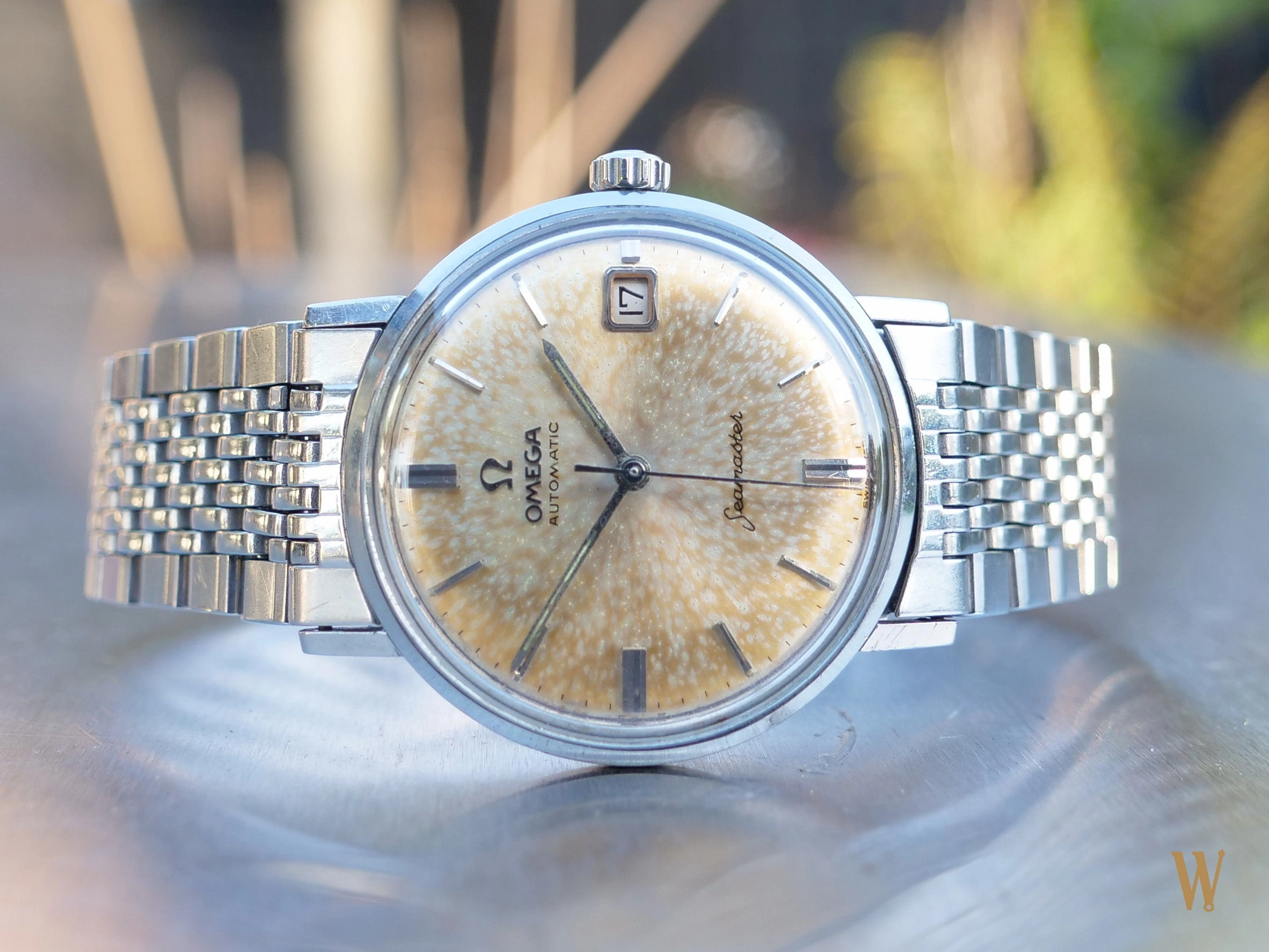 Omega Seamaster CK14770 Tropical Dial Collectors Set
