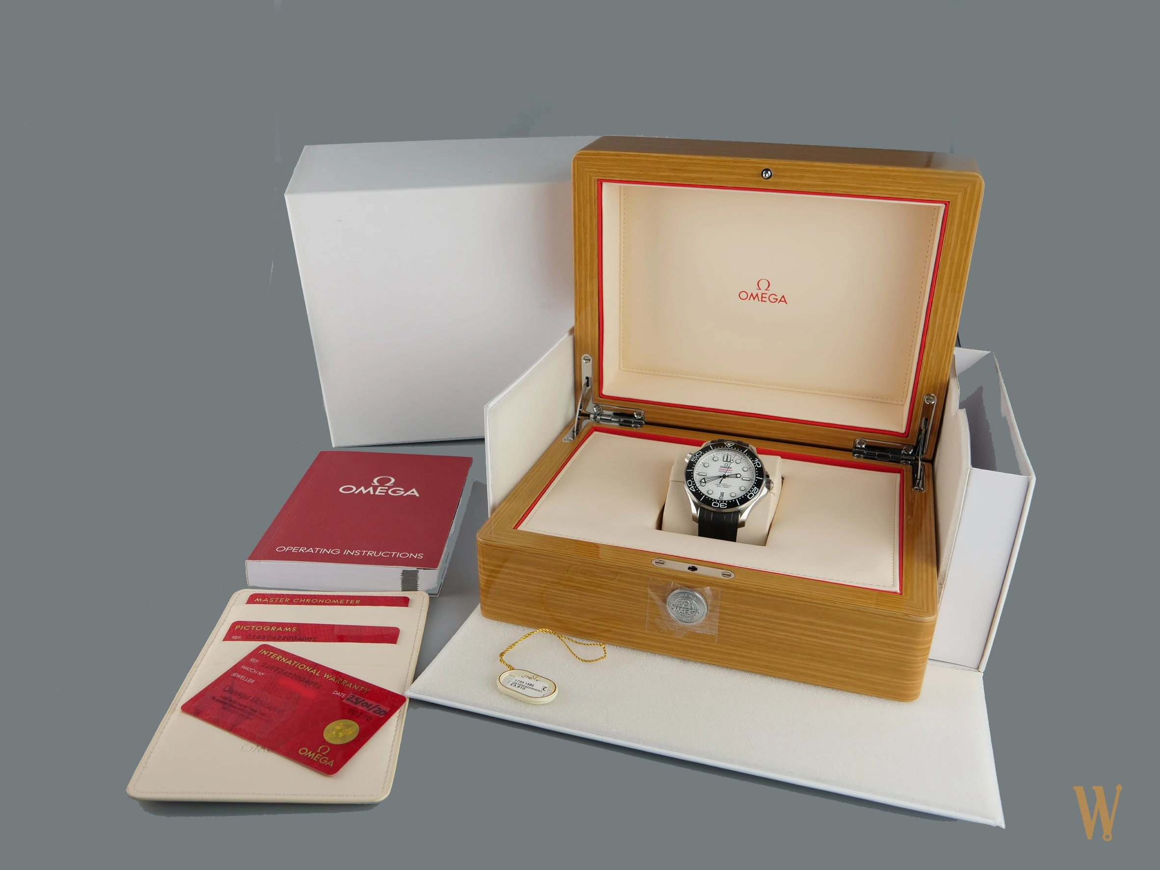Omega Seamaster Diver 300m Polar Dial