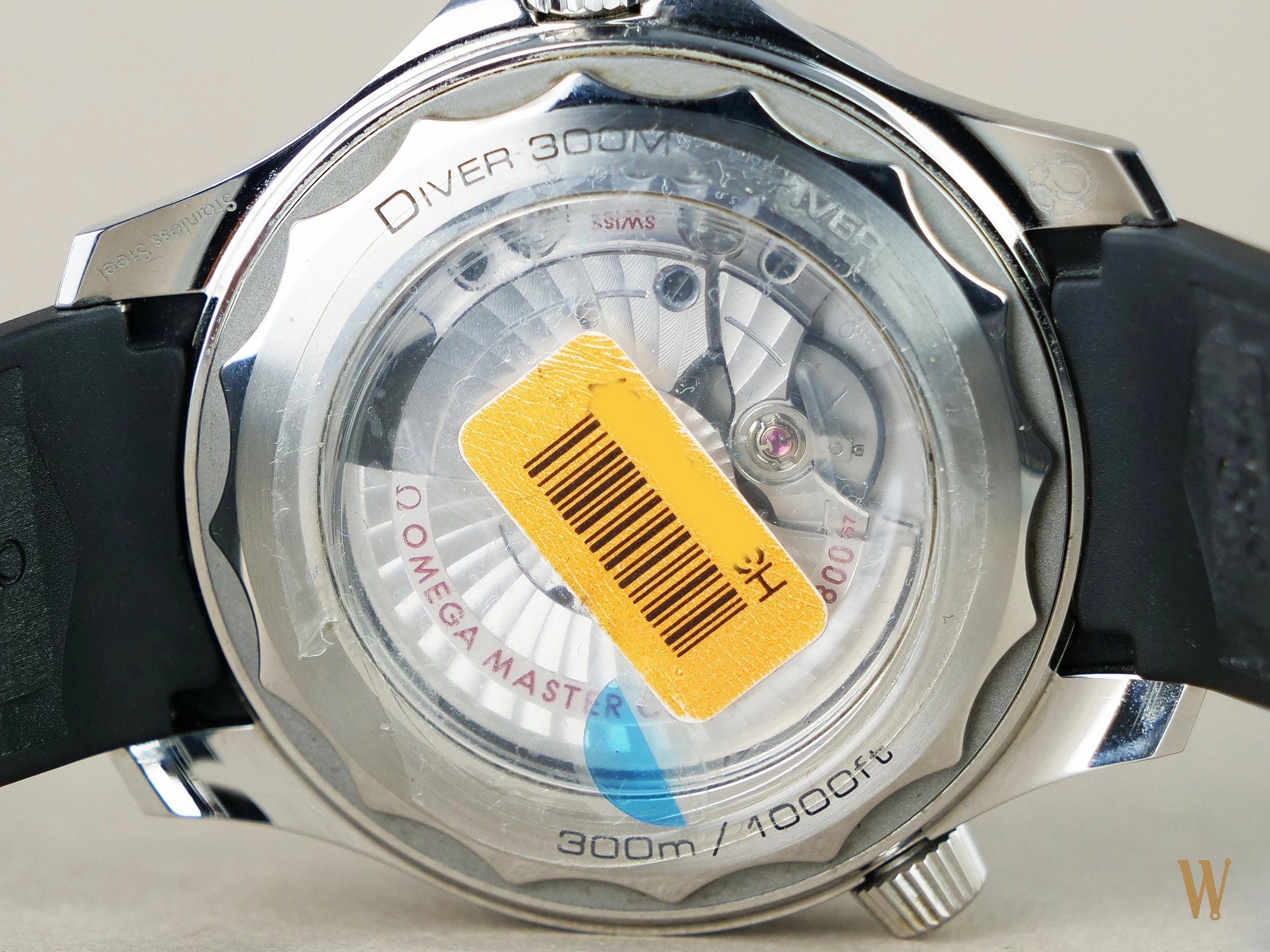 Omega Seamaster Diver 300m Polar Dial
