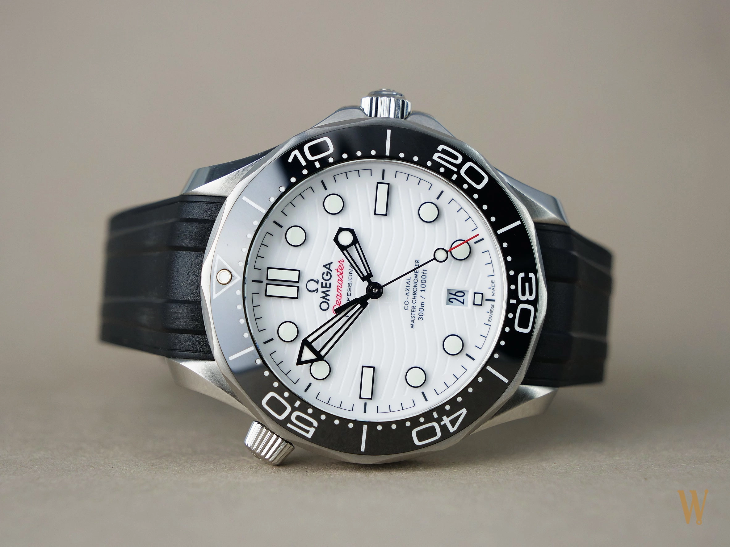Omega Seamaster Diver 300m Polar Dial
