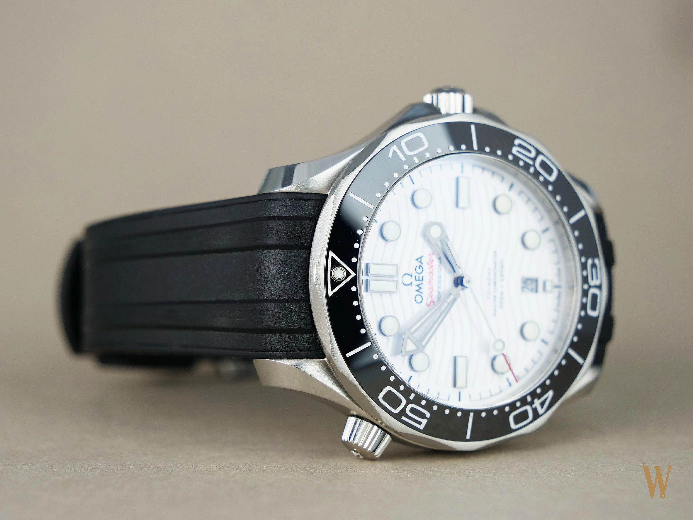 Omega Seamaster Diver 300m Polar Dial