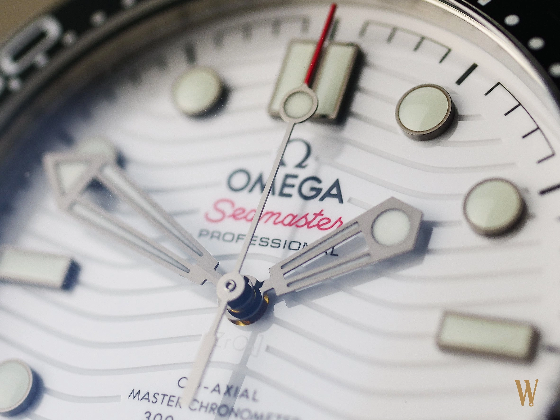 Omega Seamaster Diver 300m Polar Dial